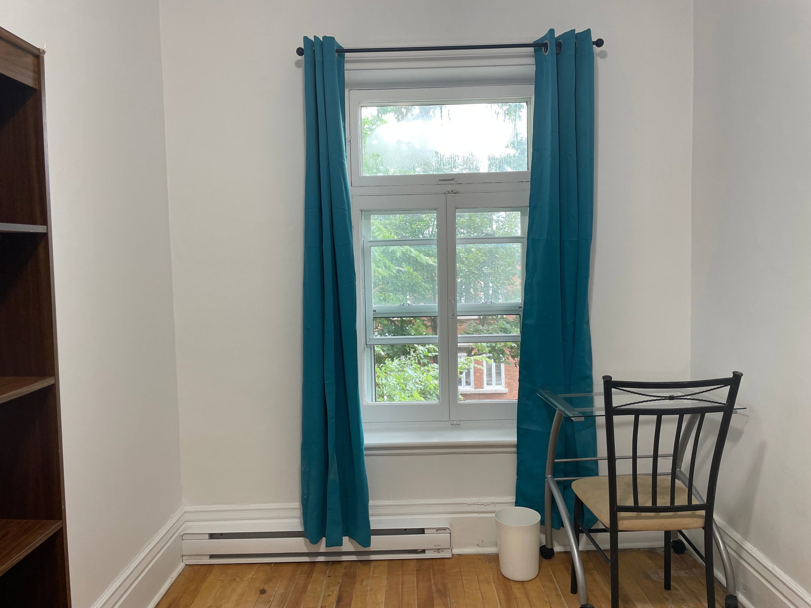 Kolokasie Québec 443168