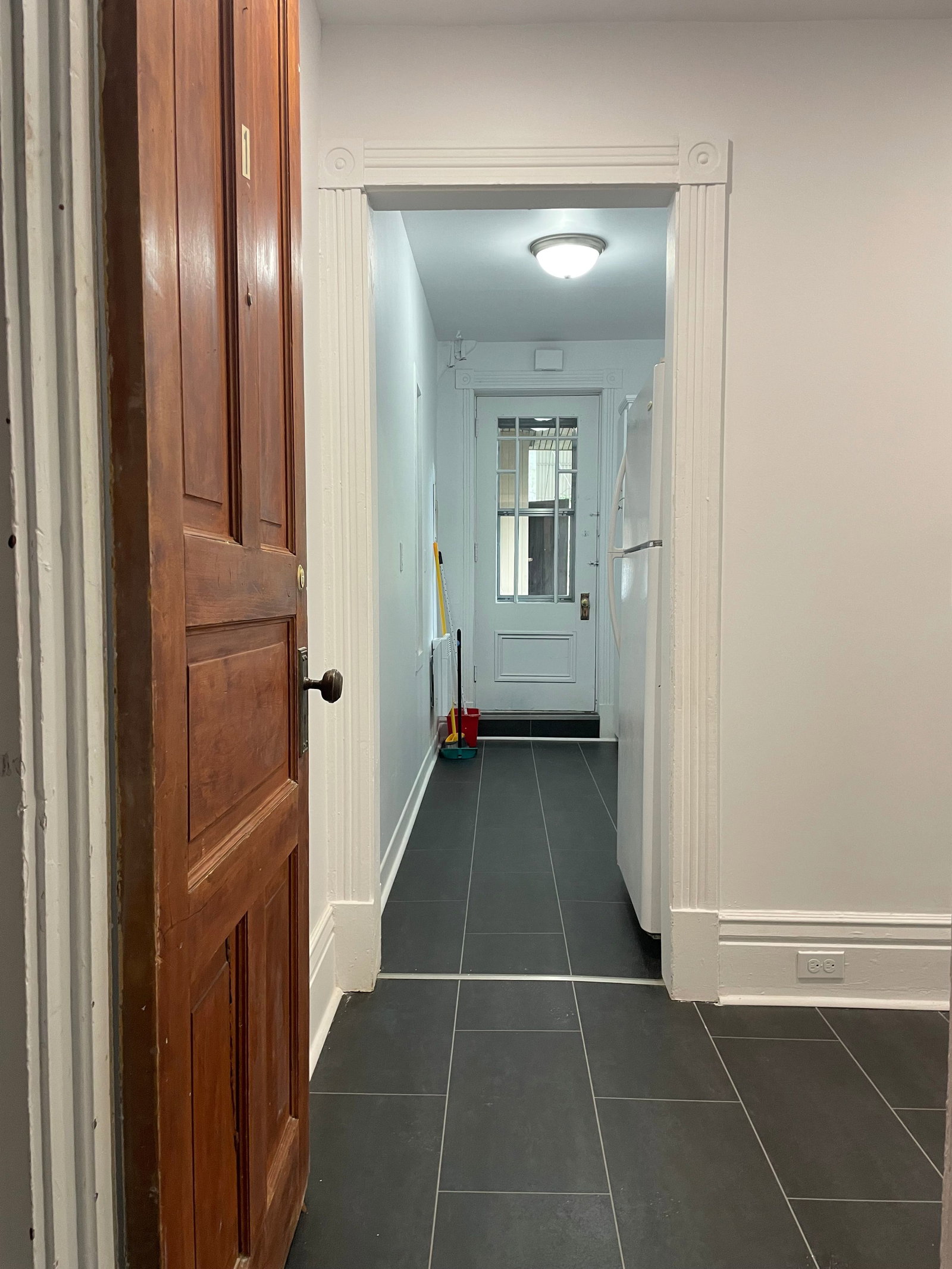 Kolokasie Québec 443168