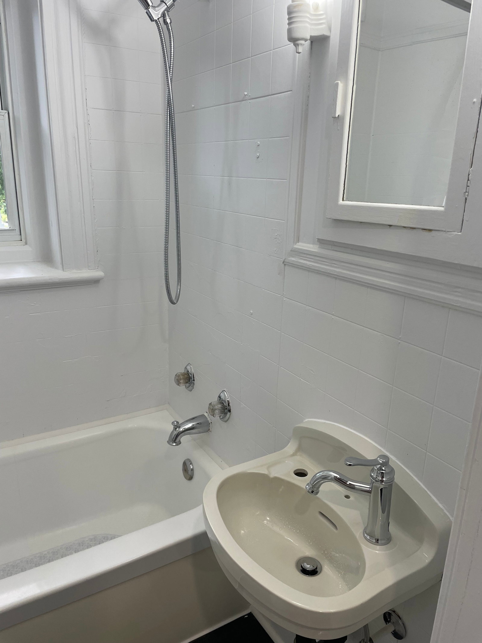 Kolokasie Québec 443168