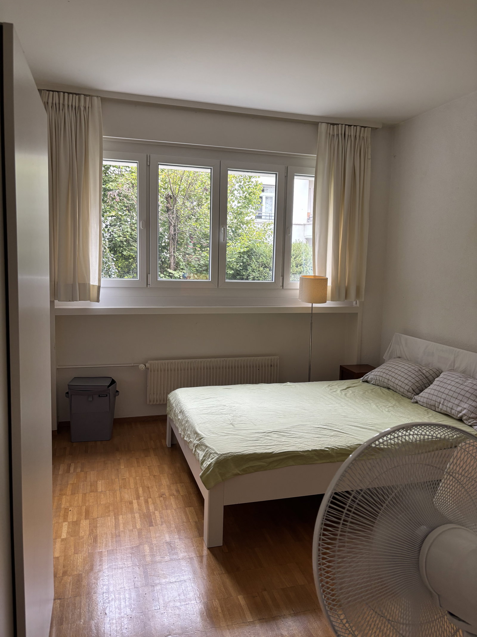 Kolokasie Lausanne 660253