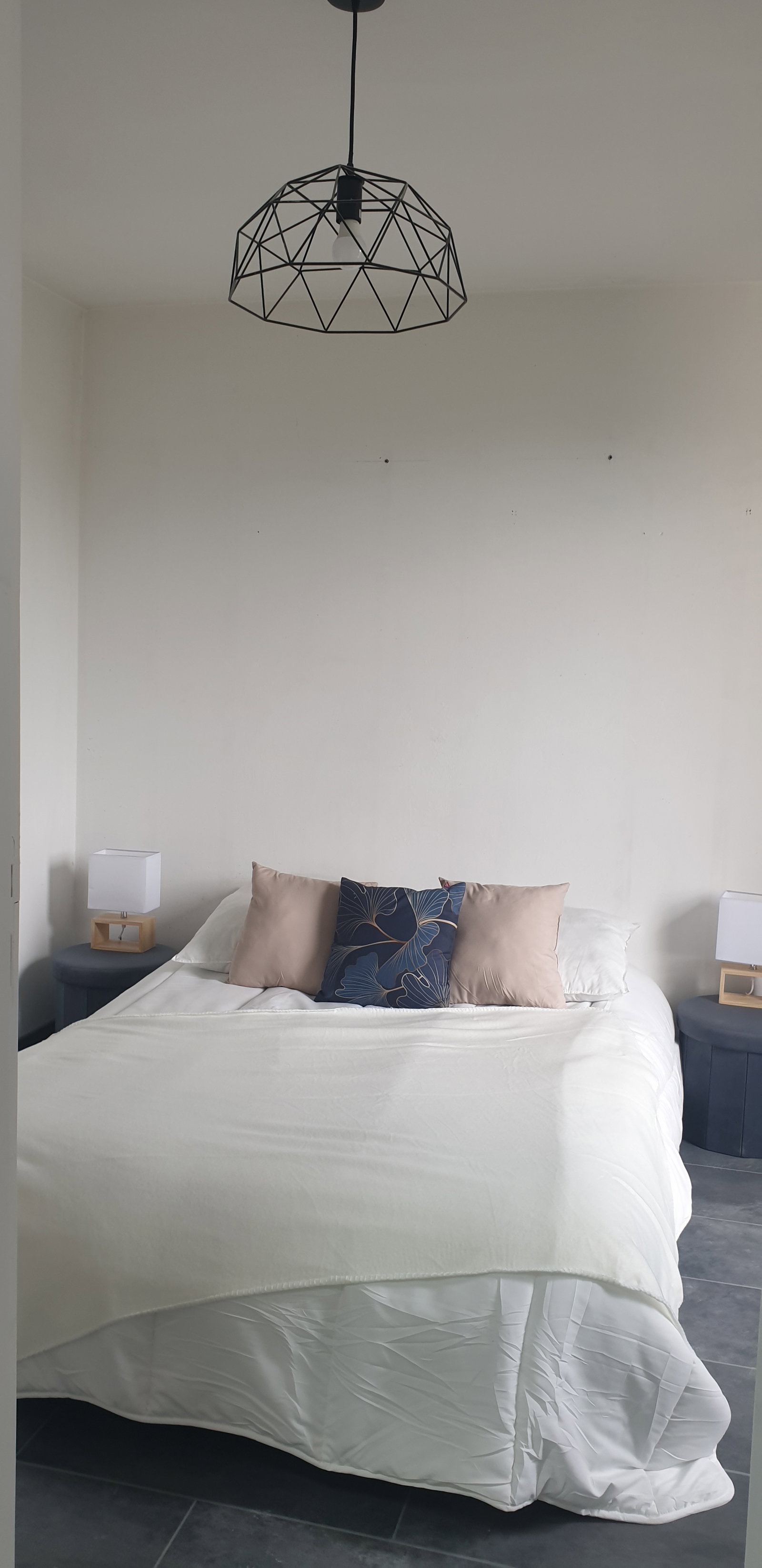 Kolokasie Gennevilliers 468093