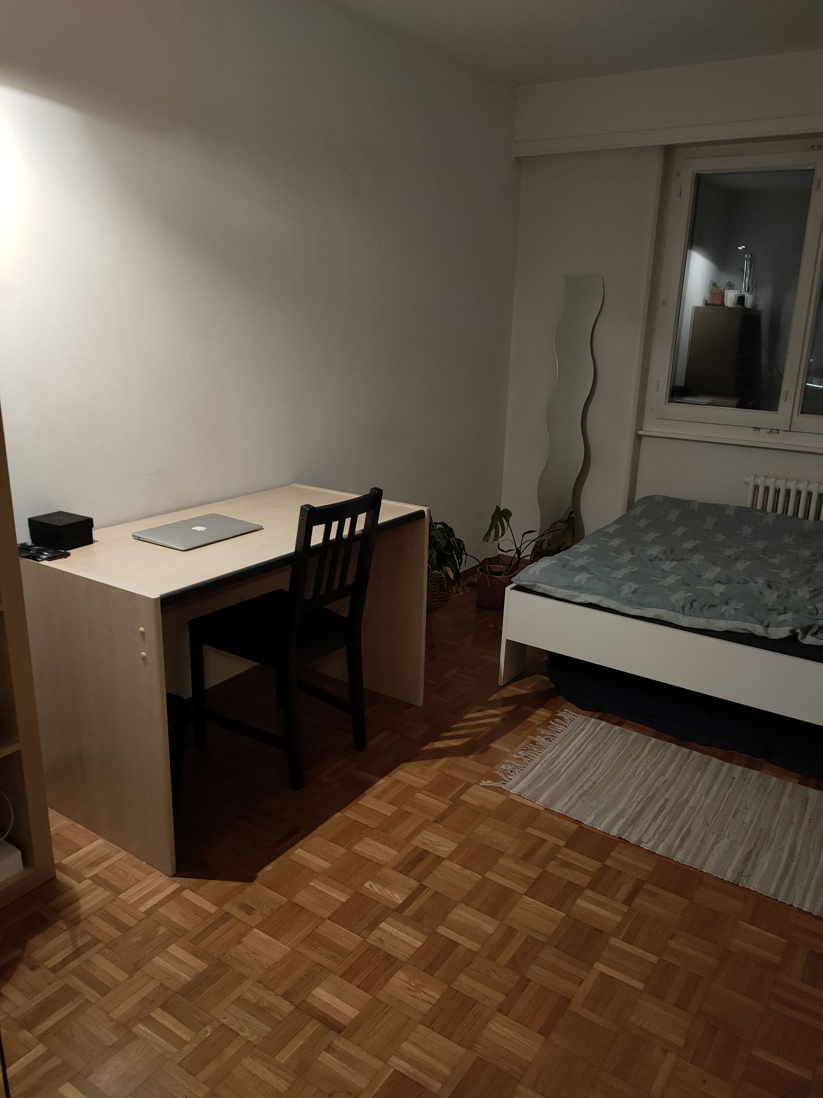 Colocatie Ecublens 255043