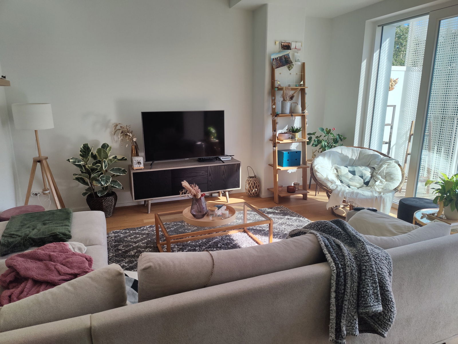 Colocatie Evere 647226