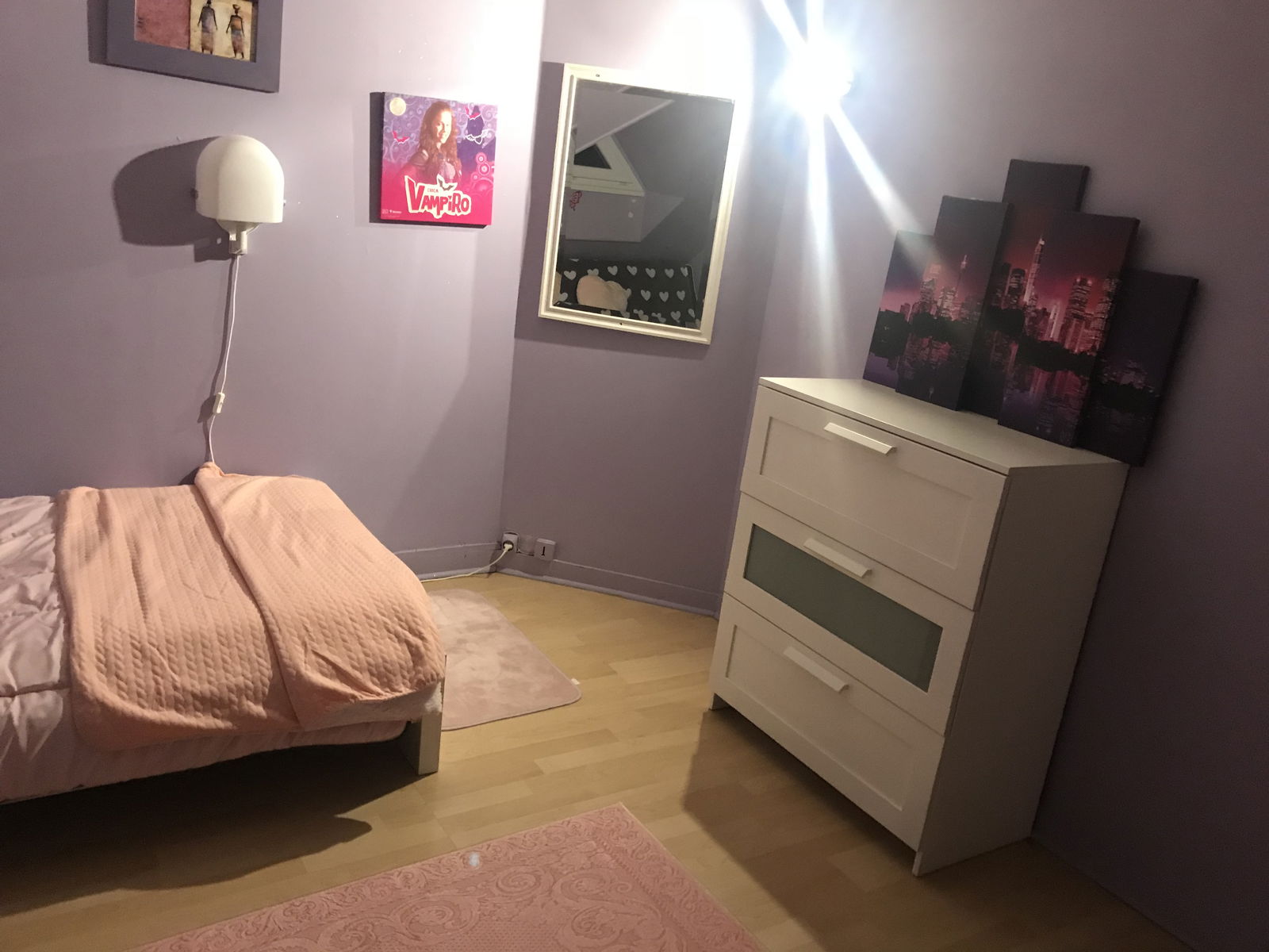 Gastgezin Ris-Orangis 88840