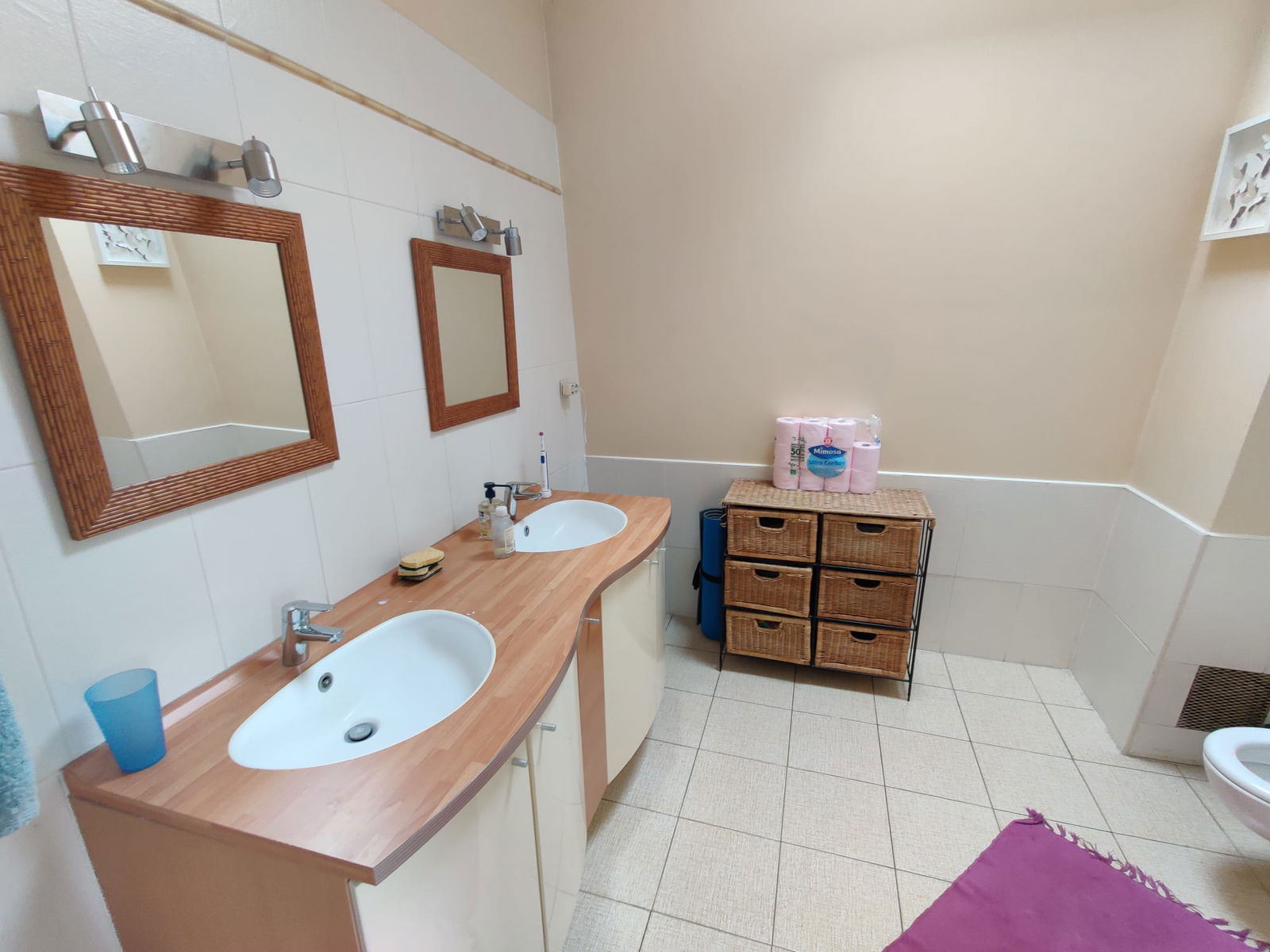 Colocatie Rosny-sous-Bois 503863