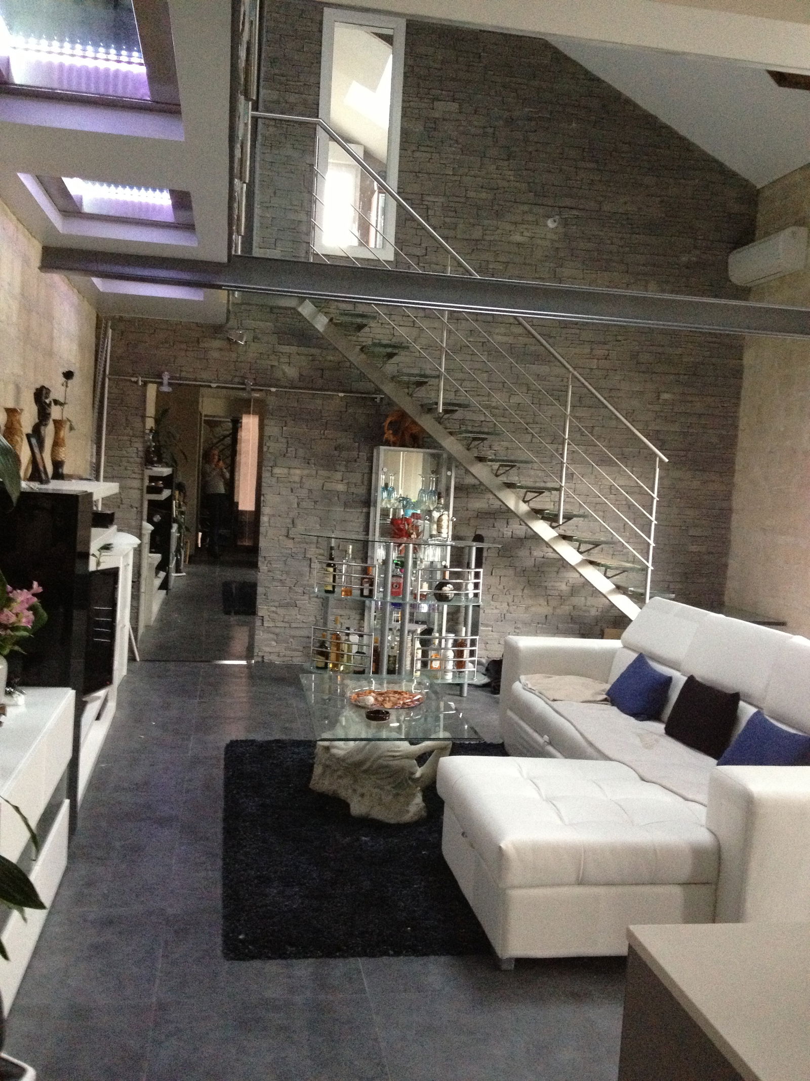 Colocatie Chatou 133207