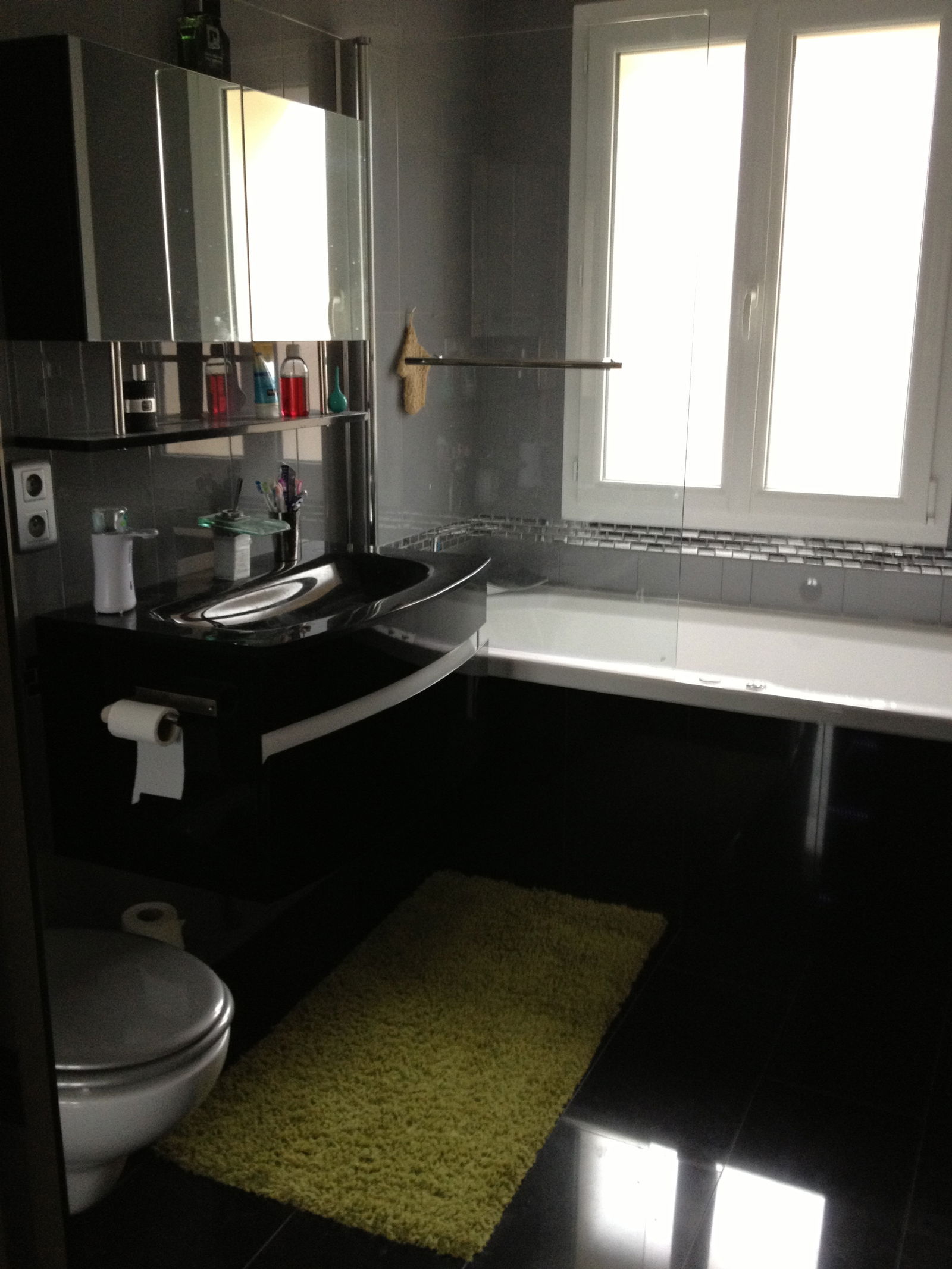 Colocatie Chatou 133207