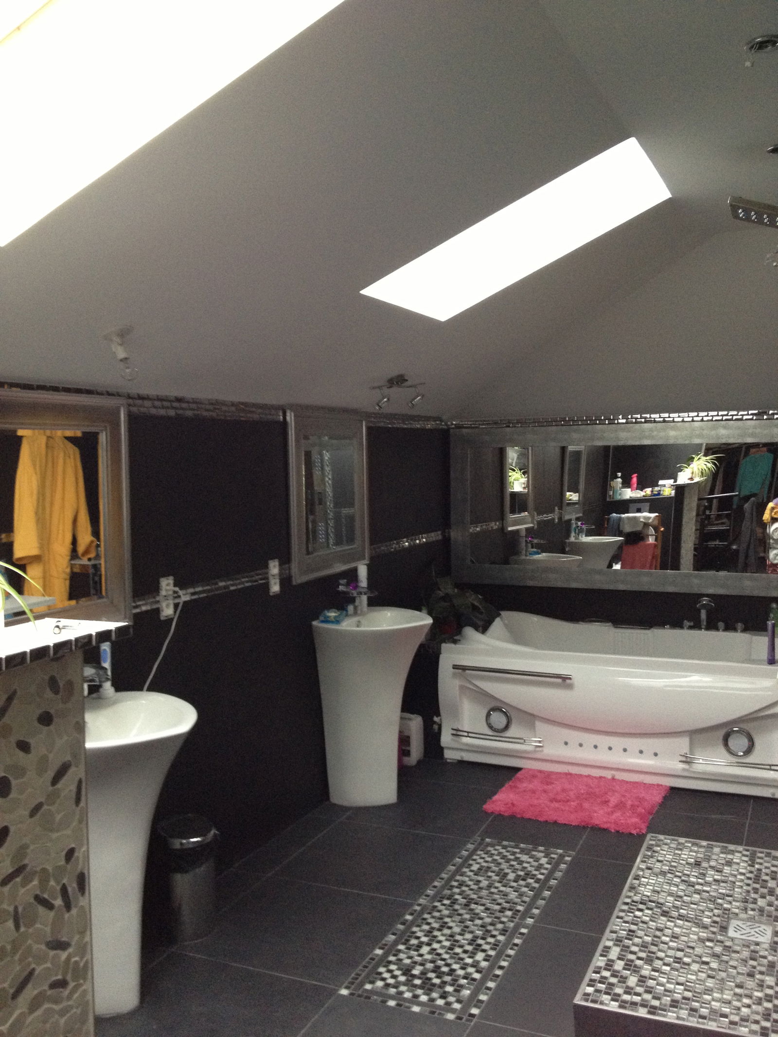 Colocatie Chatou 133207