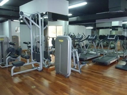 Gastgezin Dubaï 82526