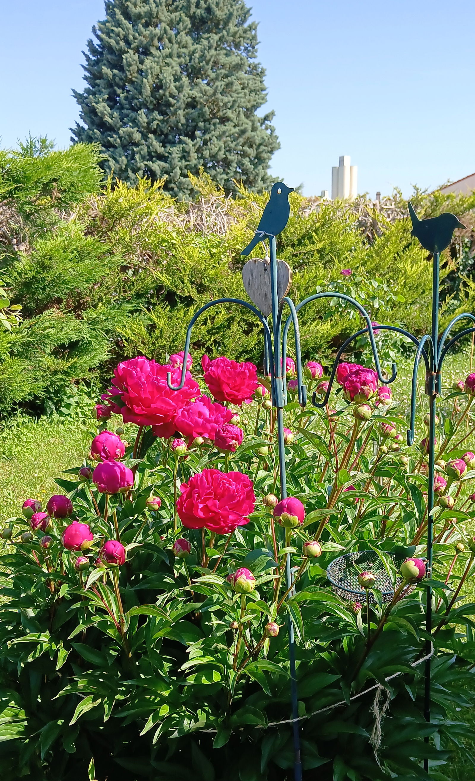 Gastgezin Retonfey 604831