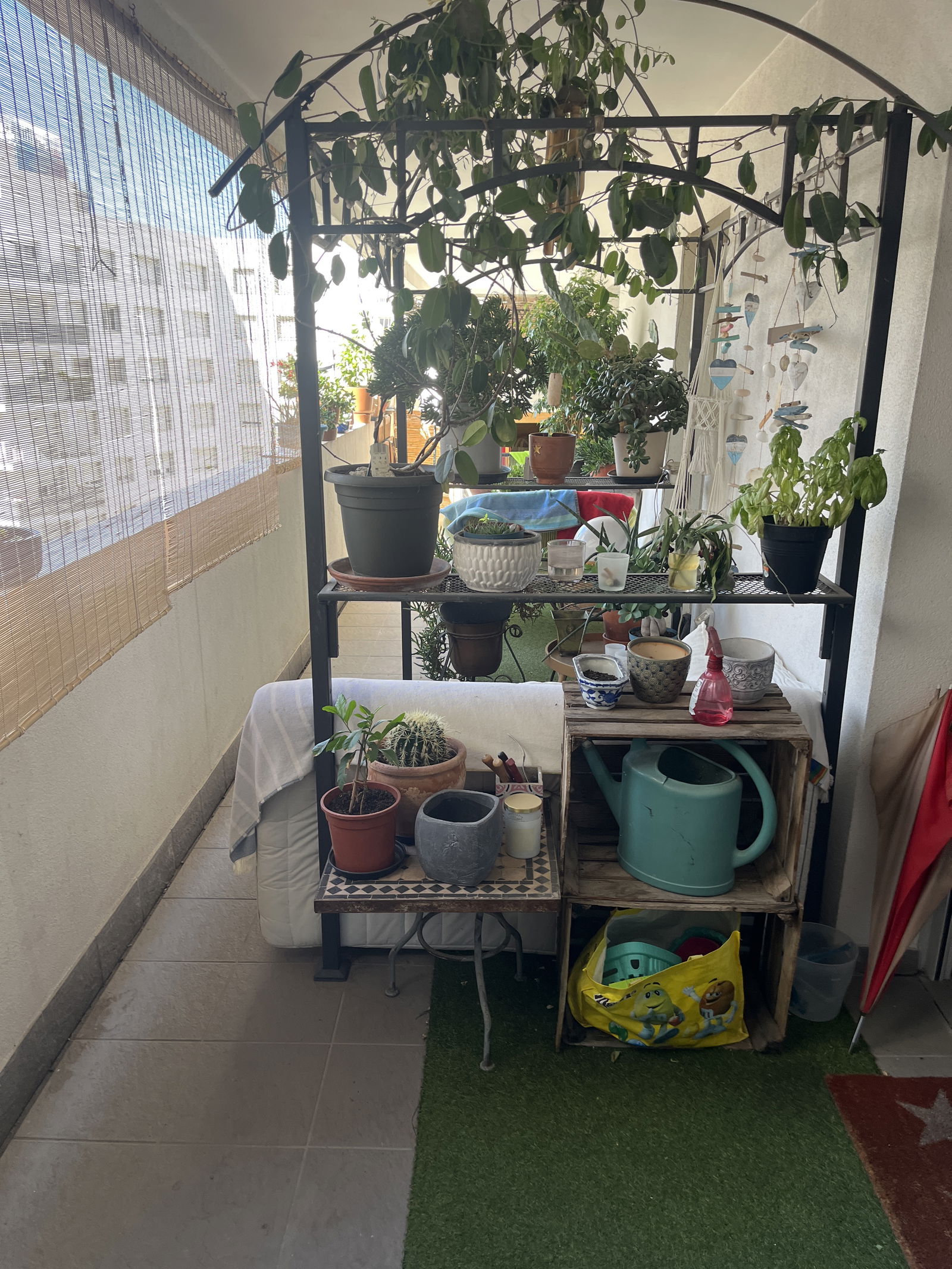 Colocatie Marseille 564531