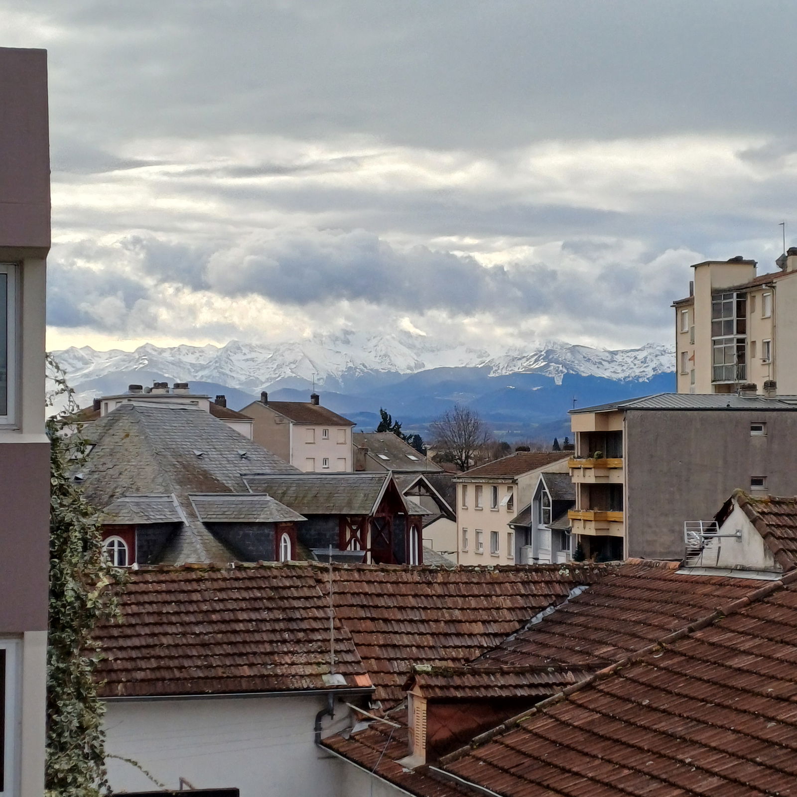 Colocatie Tarbes 494439