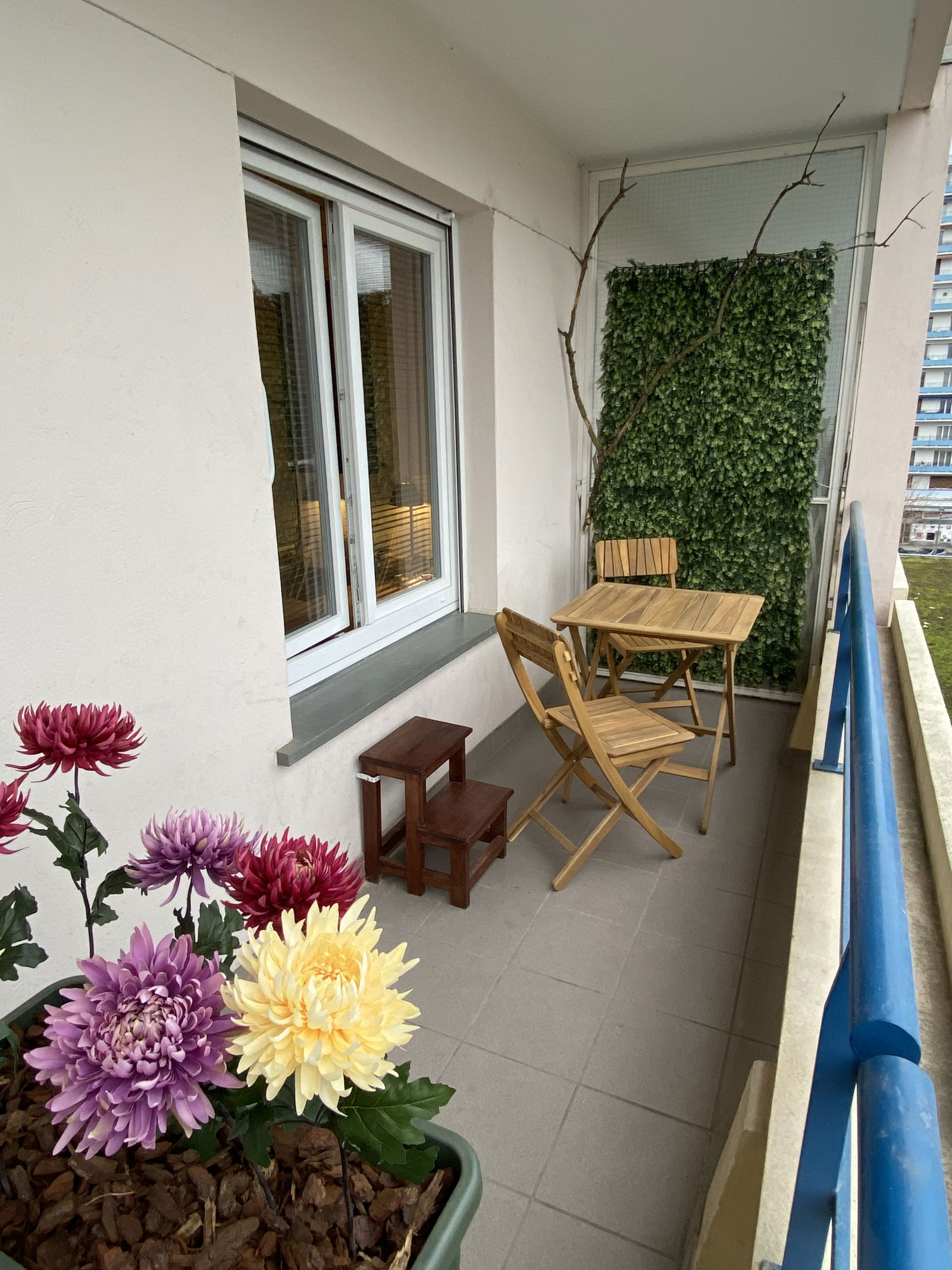 Colocatie Strasbourg 515921