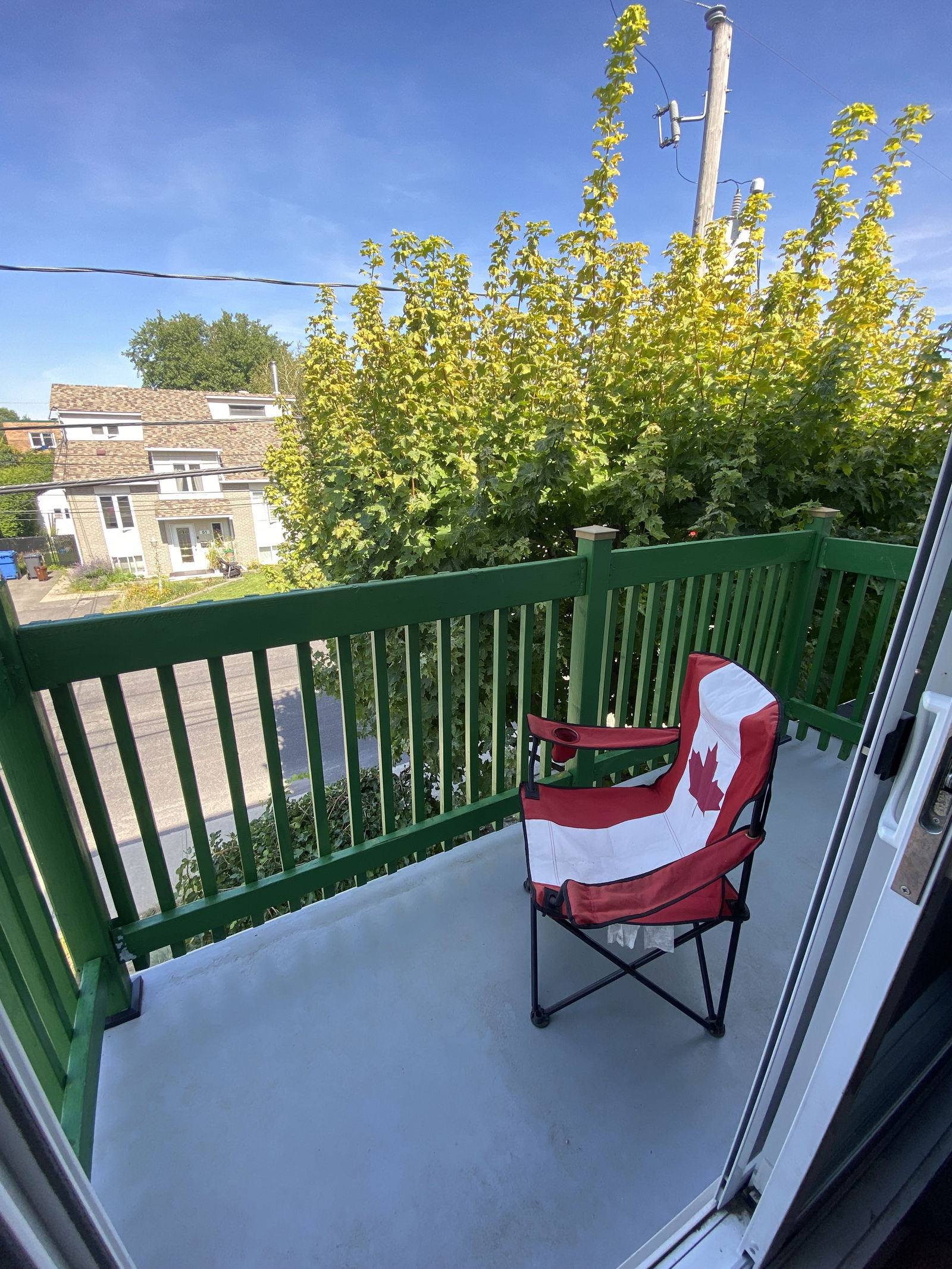 Kolokasie Longueuil 261462