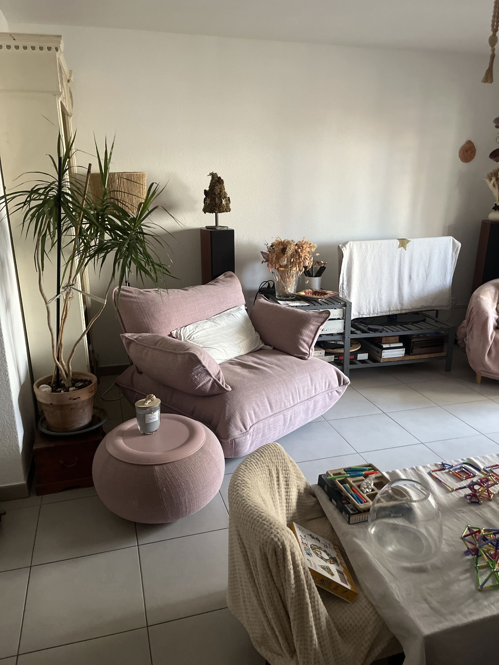 Kolokasie Marseille 564531