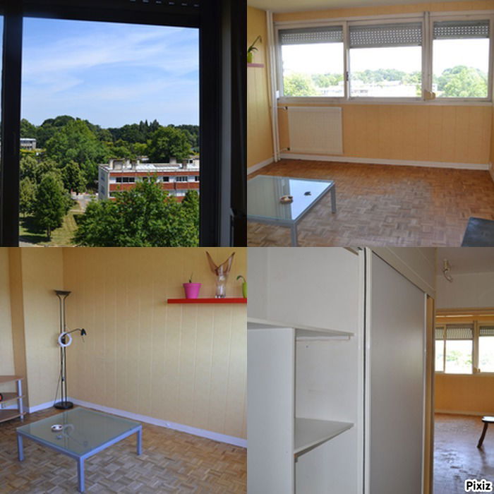 Kolokasie Rennes 118588