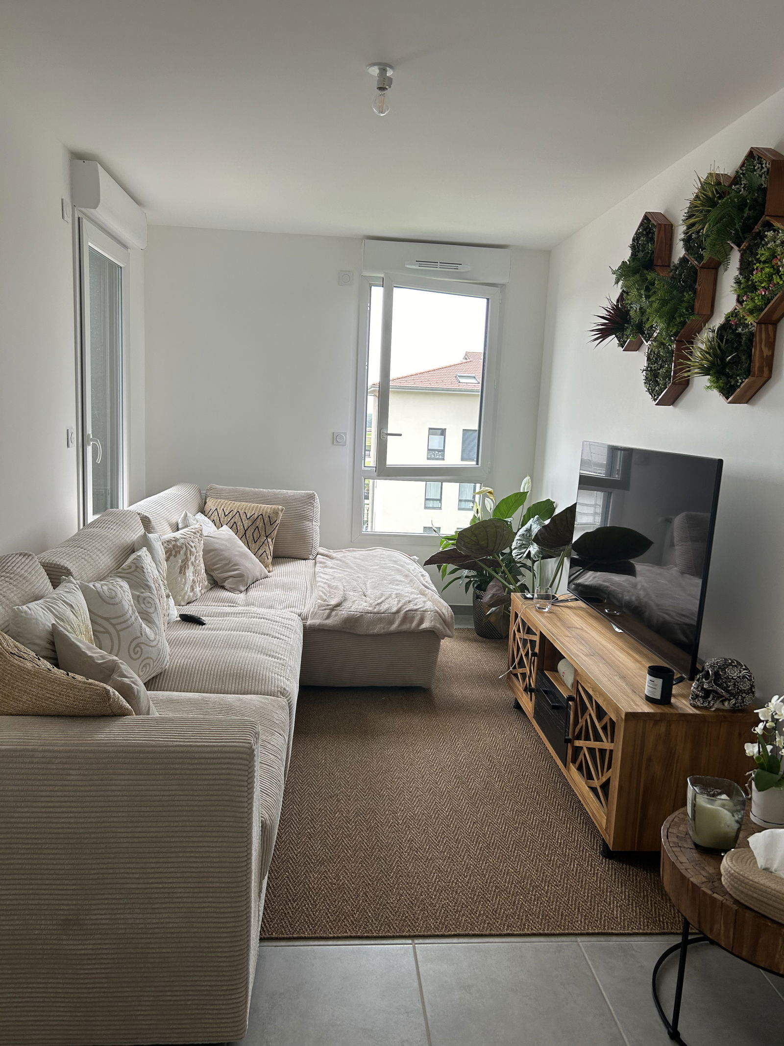 Kolokasie Cessy 393301