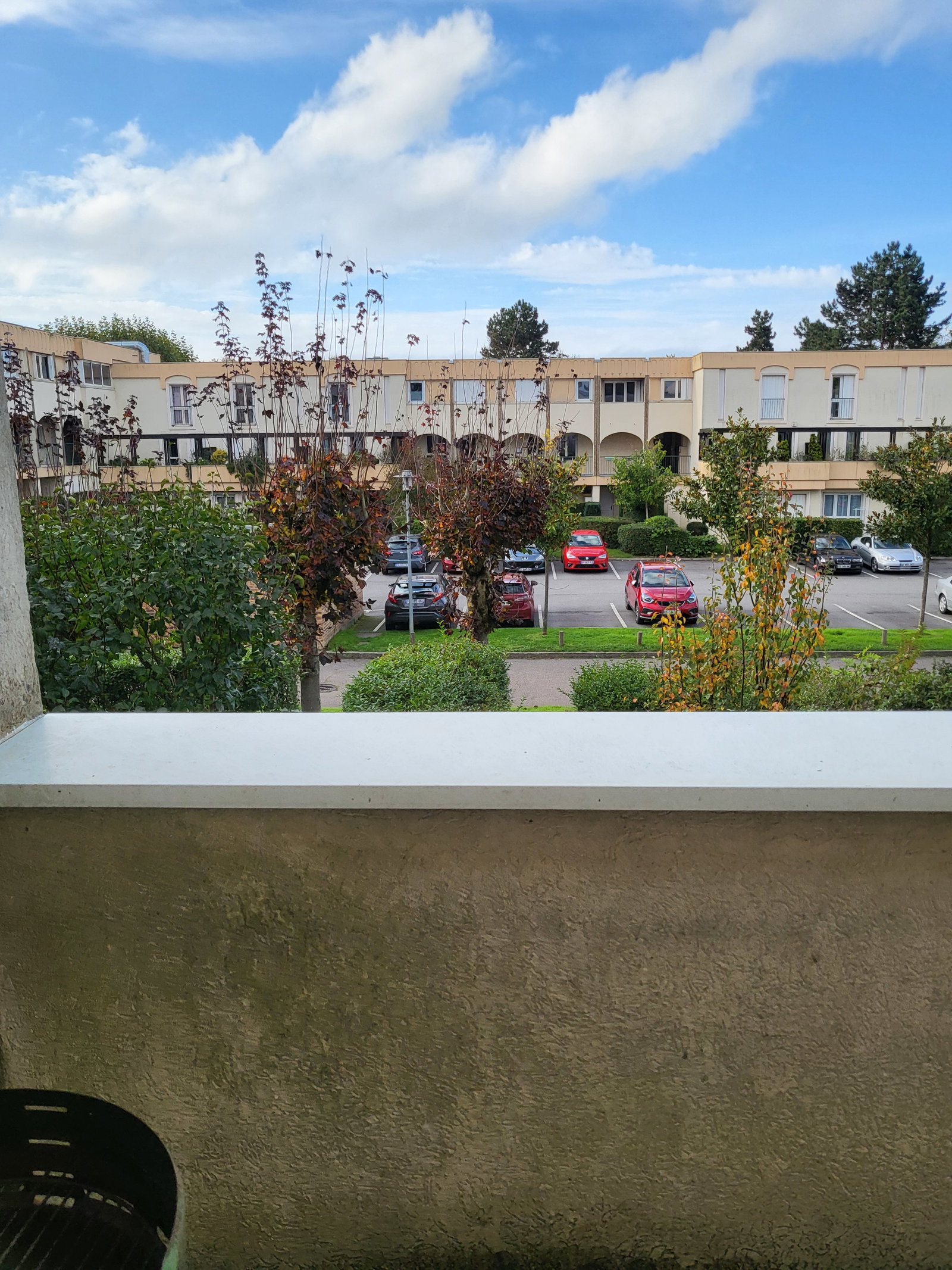 Kolokasie Montigny-le-Bretonneux 495091