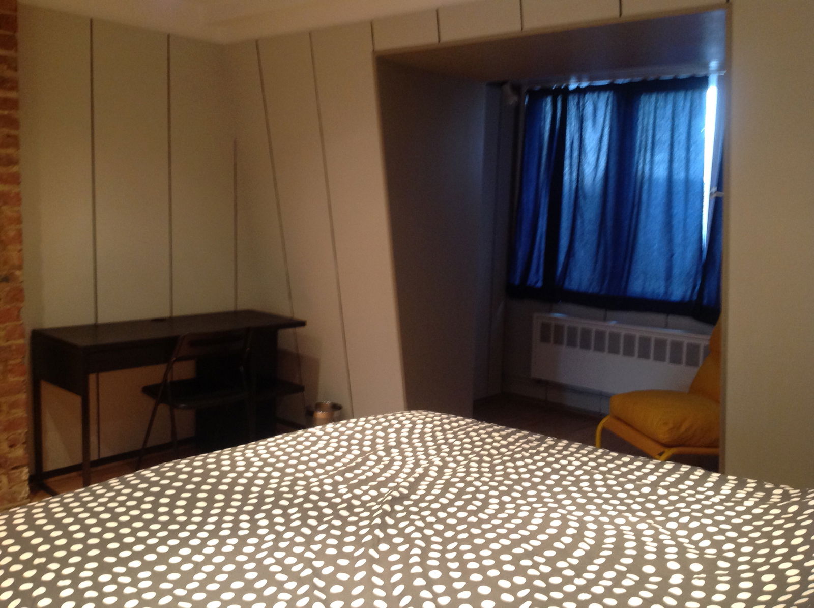 Kolokasie Uccle 245163