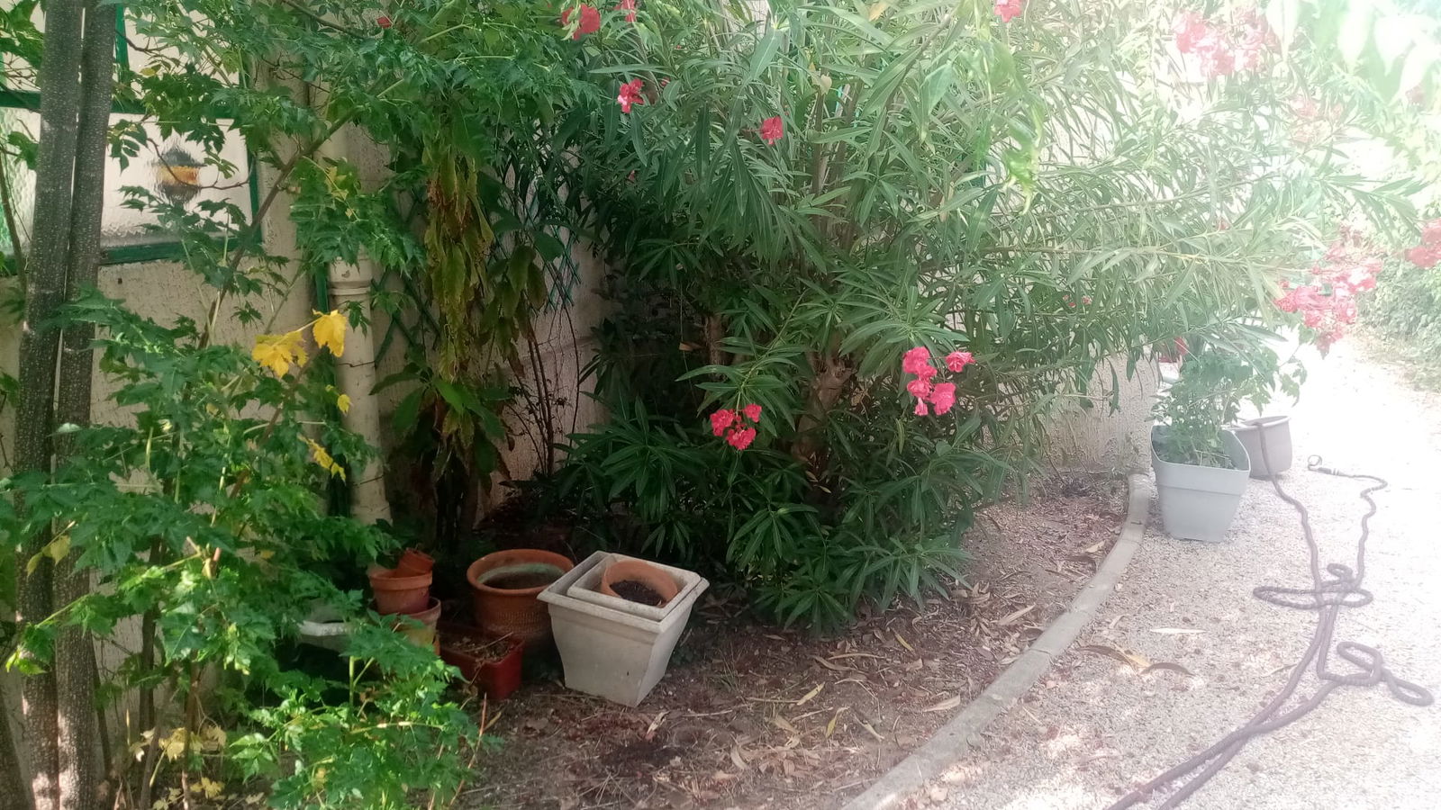 Colocatie Montpellier 546447