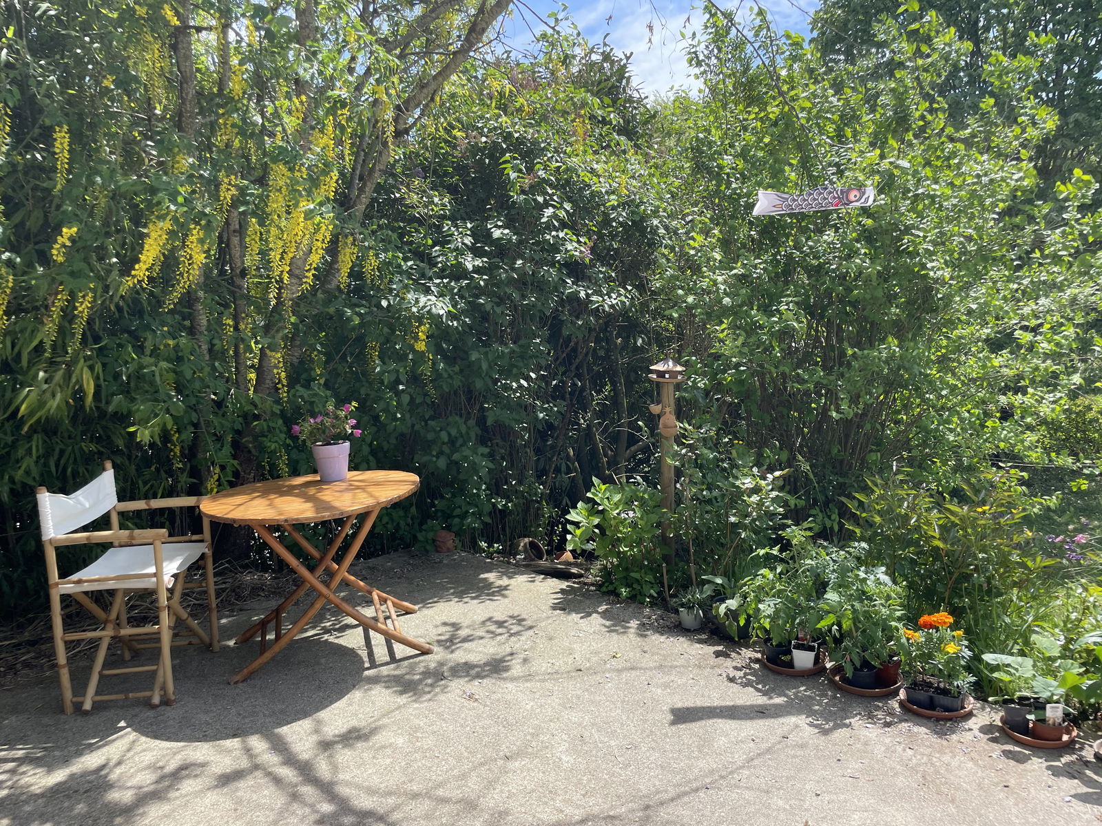 Gastgezin Cruseilles 433314