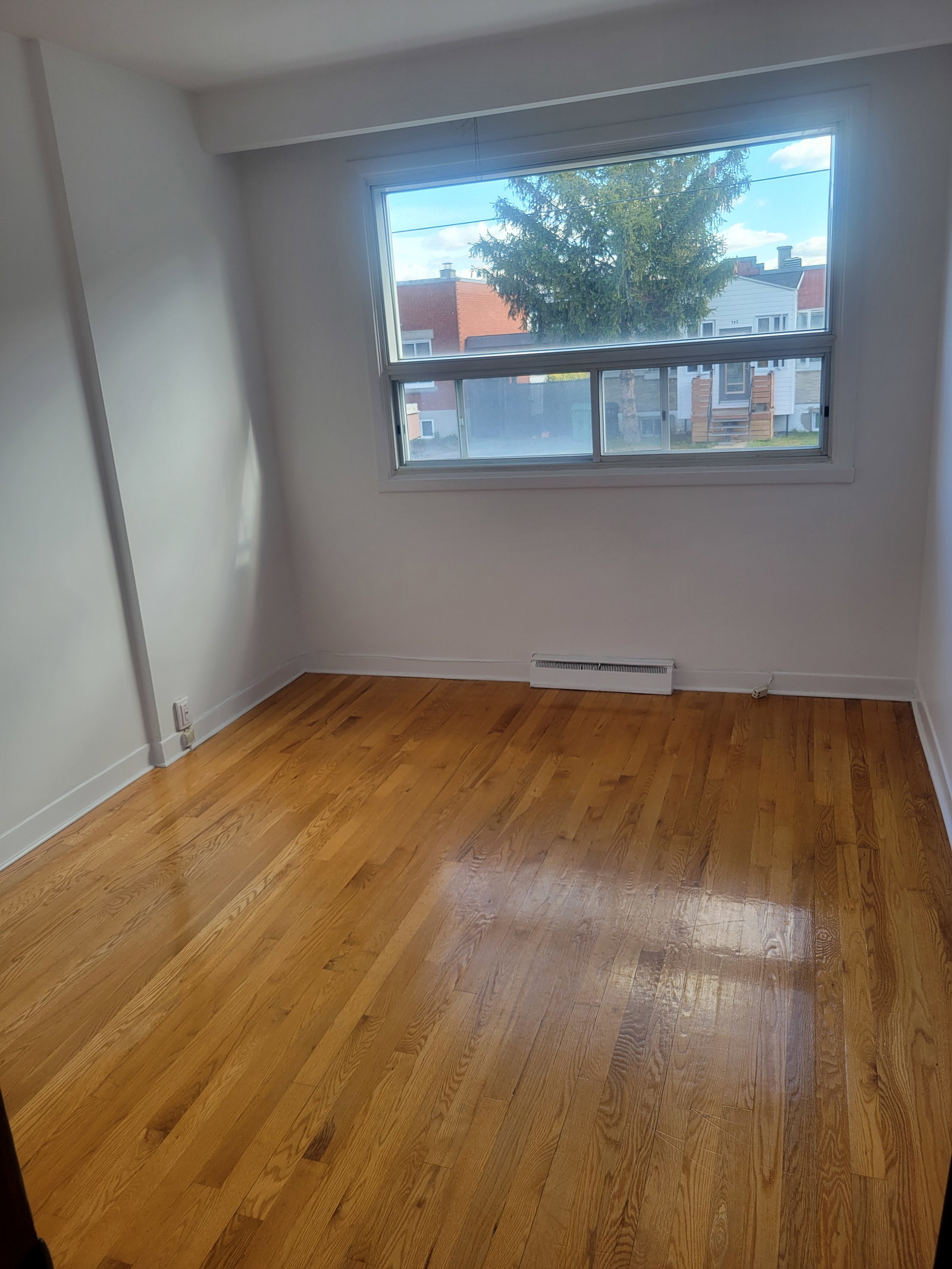 Coliving Montréal 629577