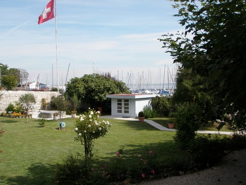 Kolokasie Genève 5650