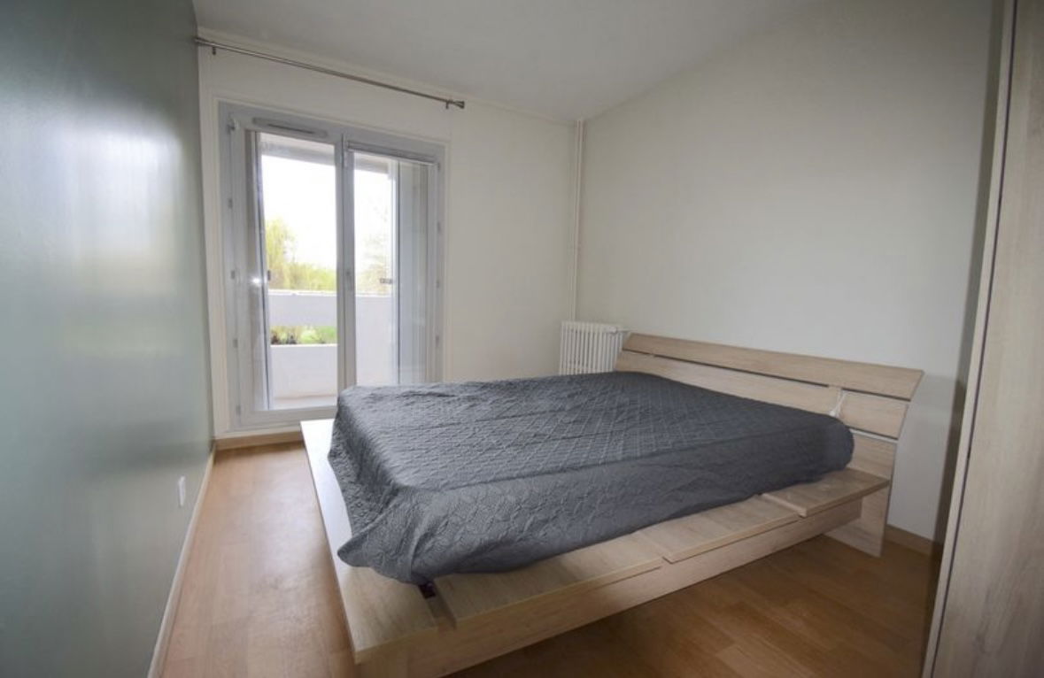Kolokasie Lyon 500821