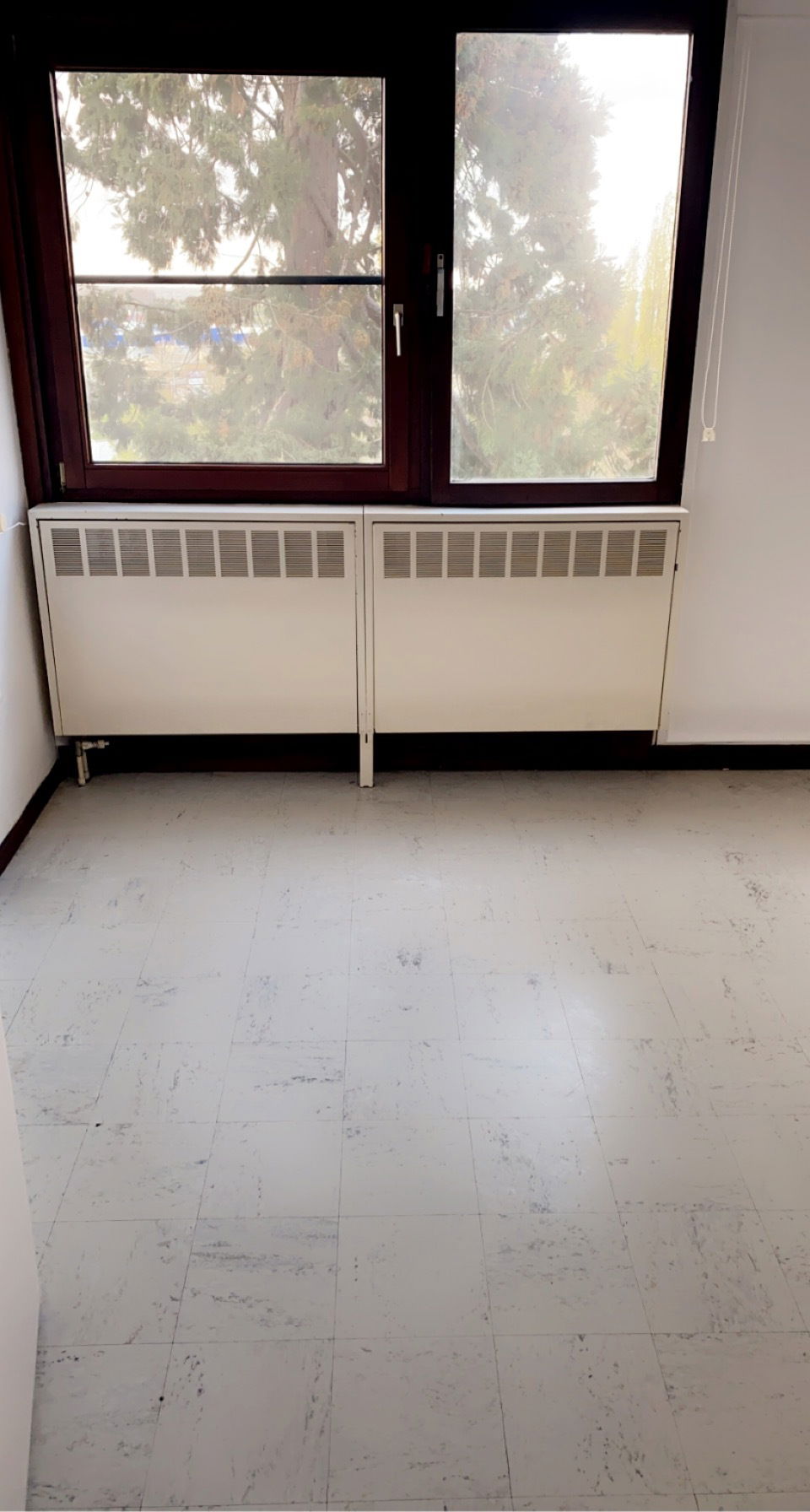 Colocatie Mons 248294