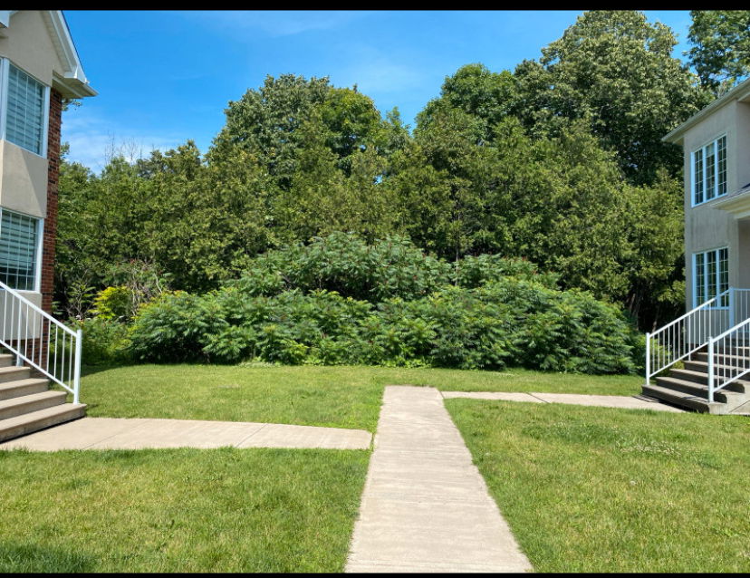 Colocatie Laval 499136