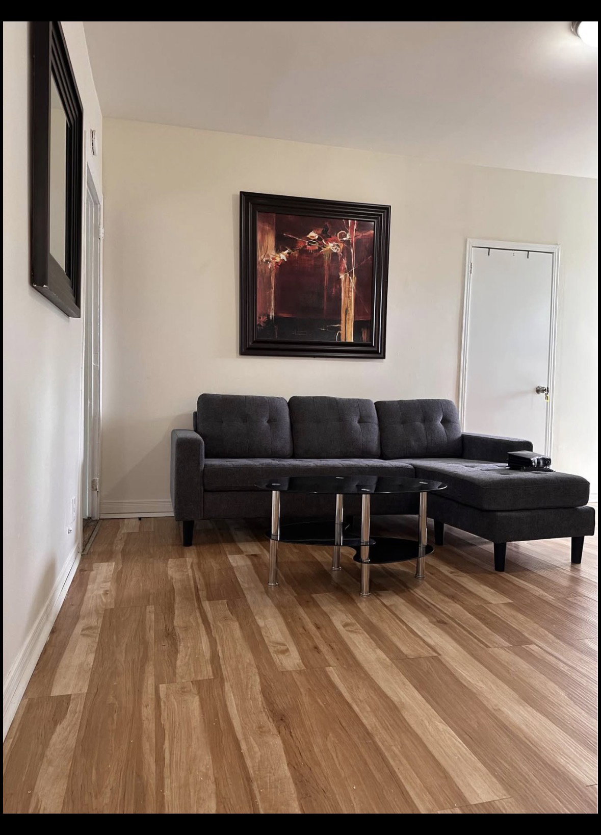 Kolokasie Montréal 658272