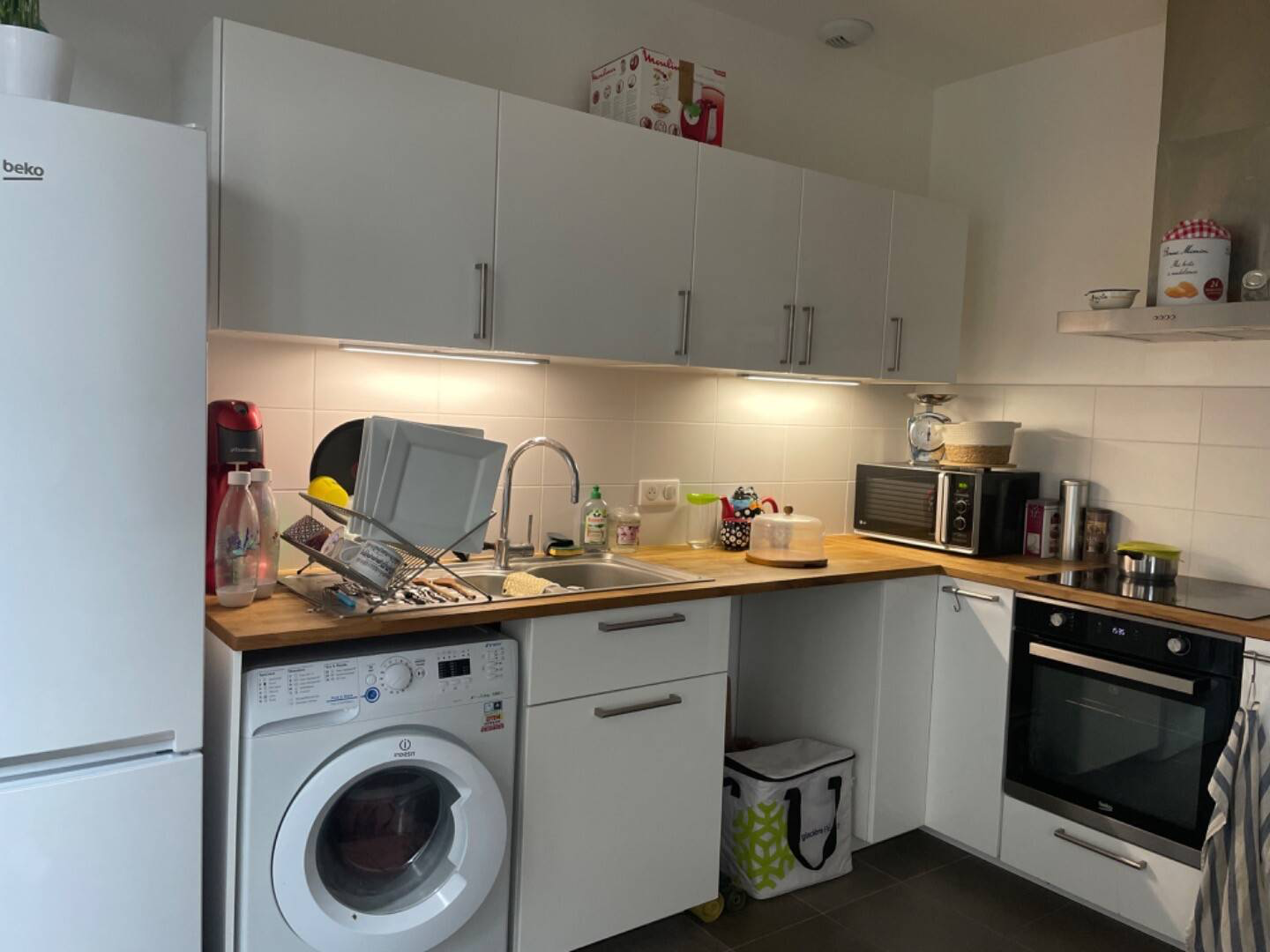 Kolokasie Quimper 627063