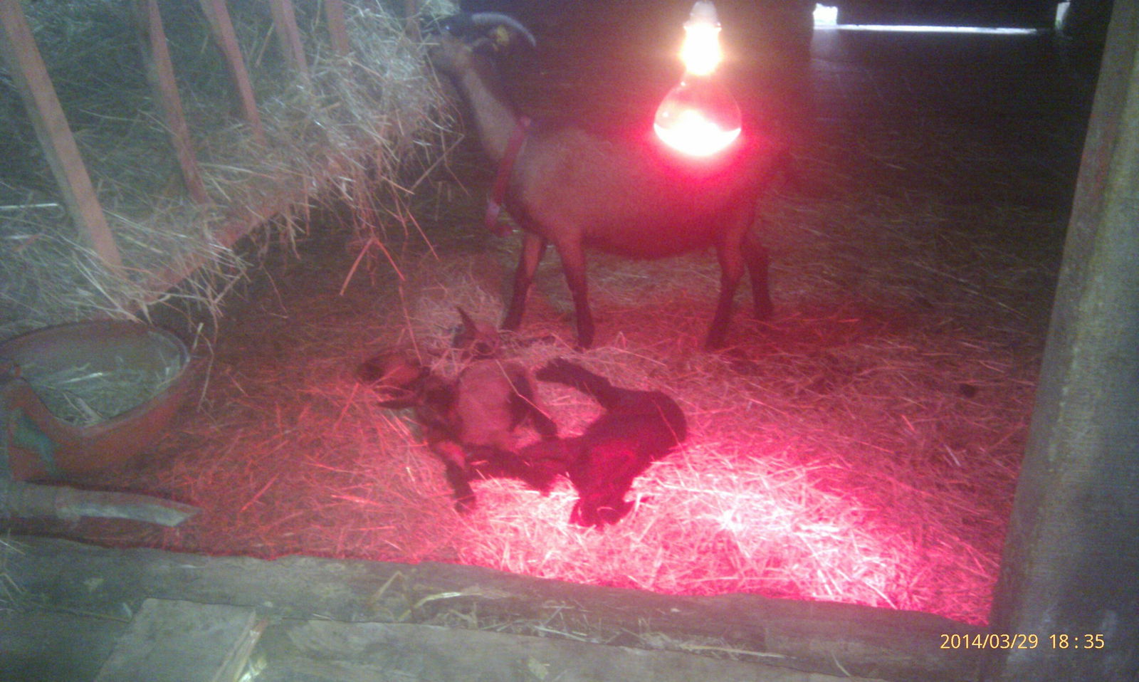 Tuisverblyf Audrix 44264