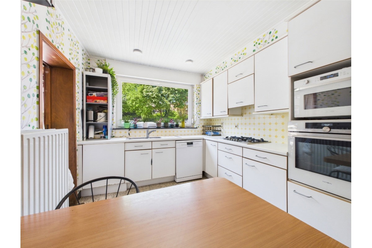 Kolokasie Liège 631728