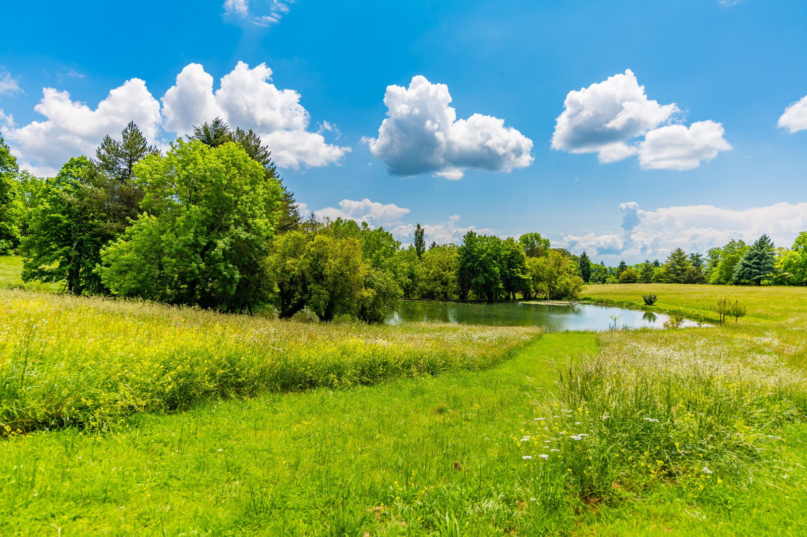 Tuisverblyf Laprade 660989