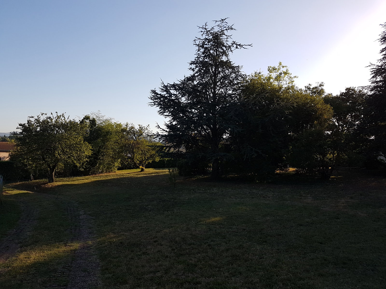 Kolokasie Saint-Genis-les-Ollières 648442