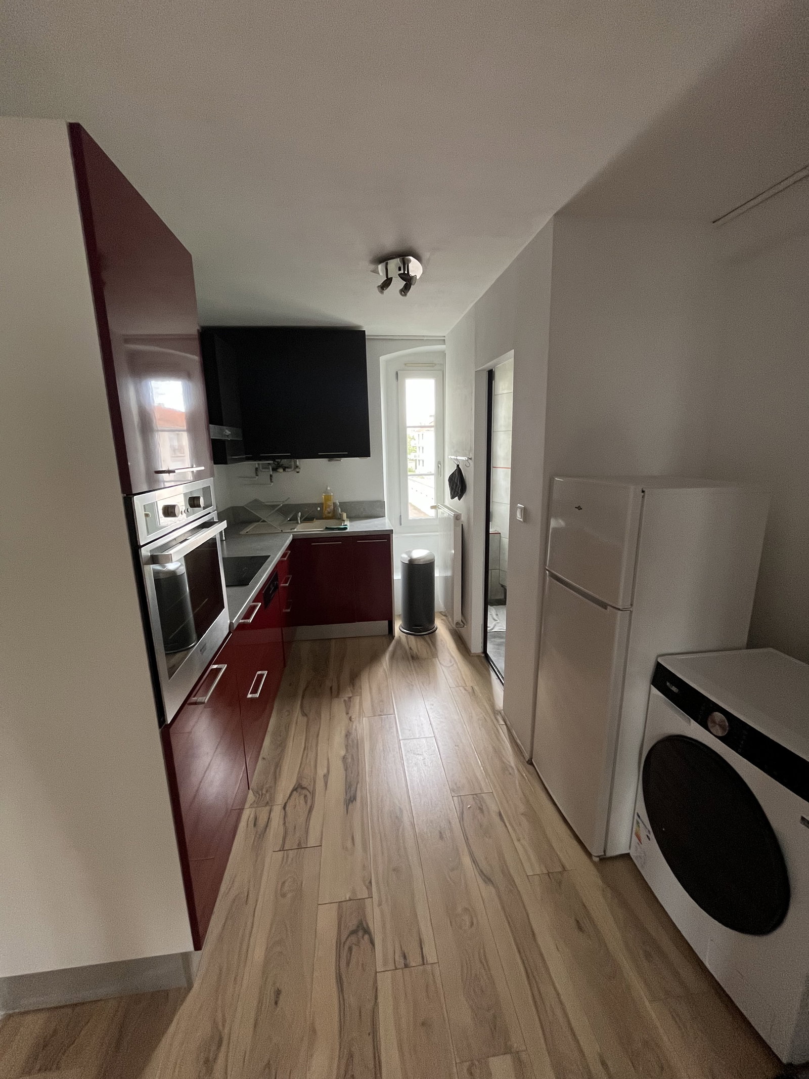 Kolokasie Besançon 658964