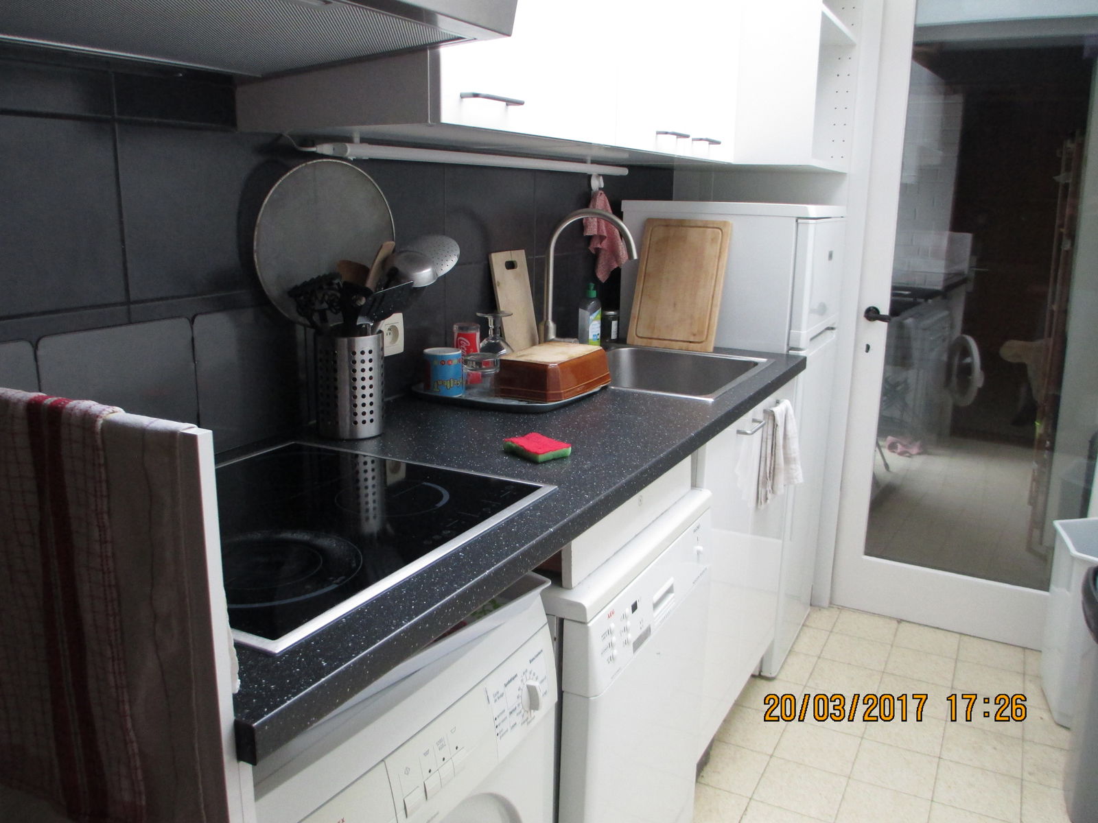 Kolokasie Namur 648941