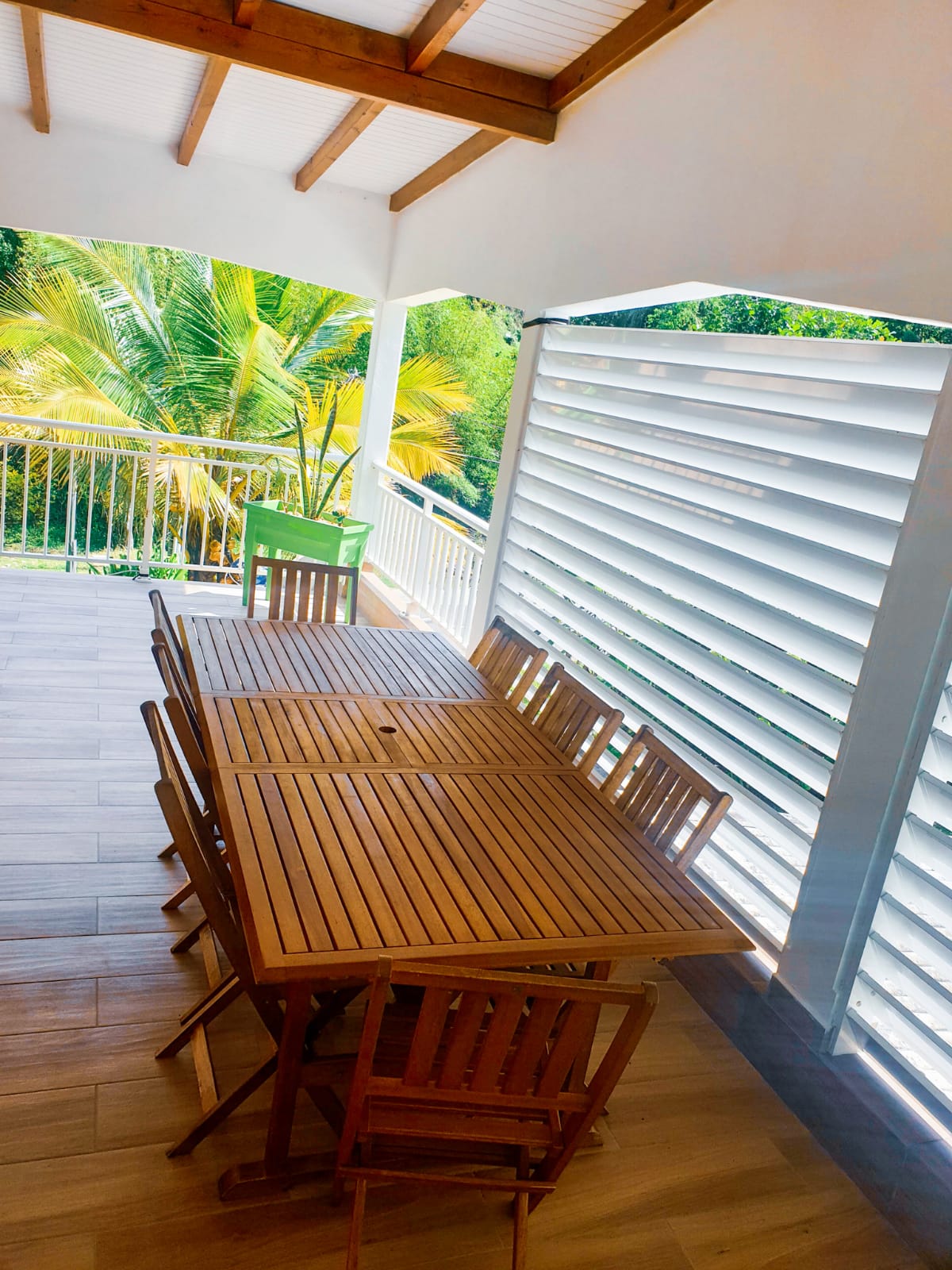 Kolokasie Les Abymes 659902