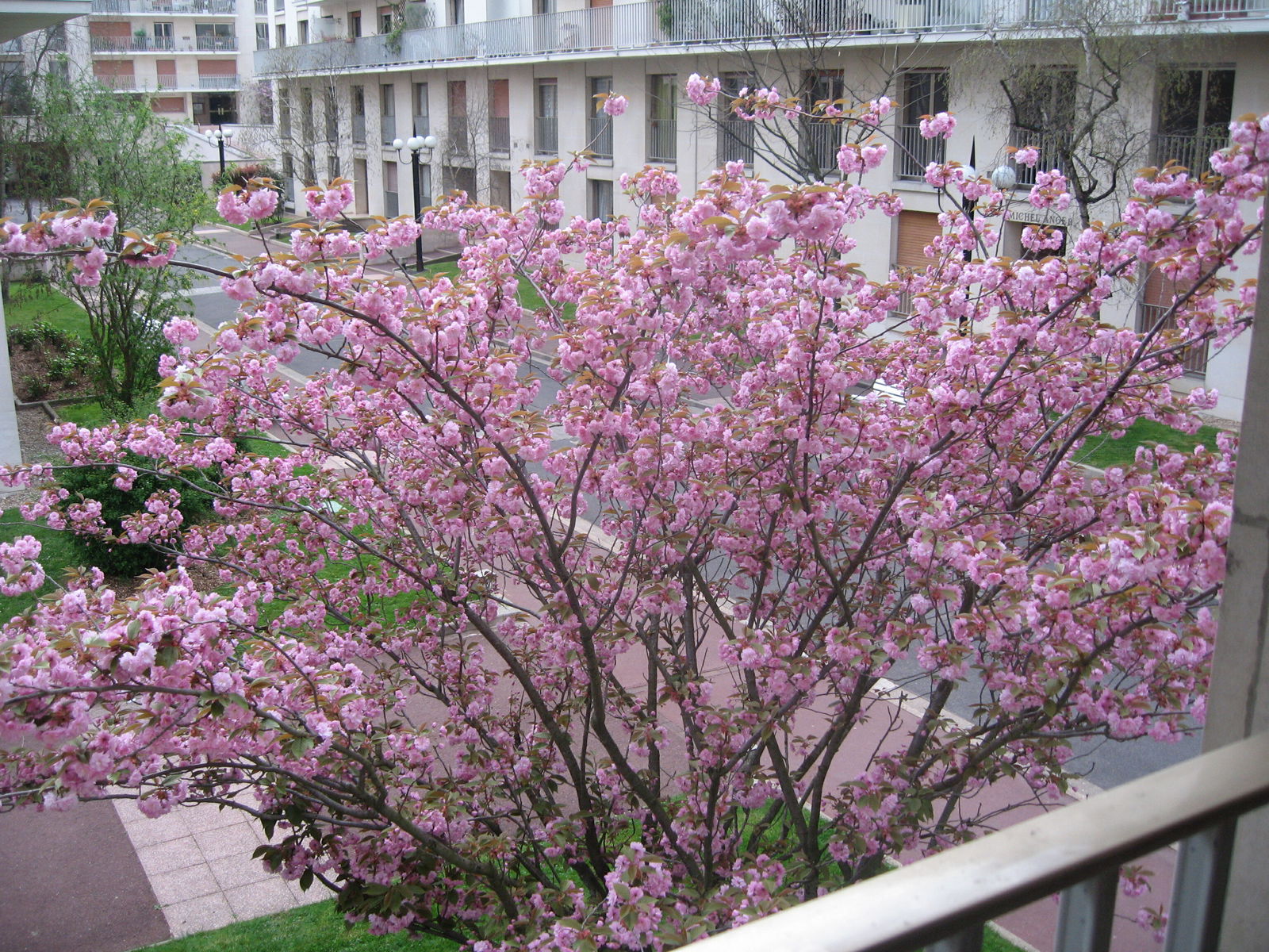 Tuisverblyf Versailles 103001