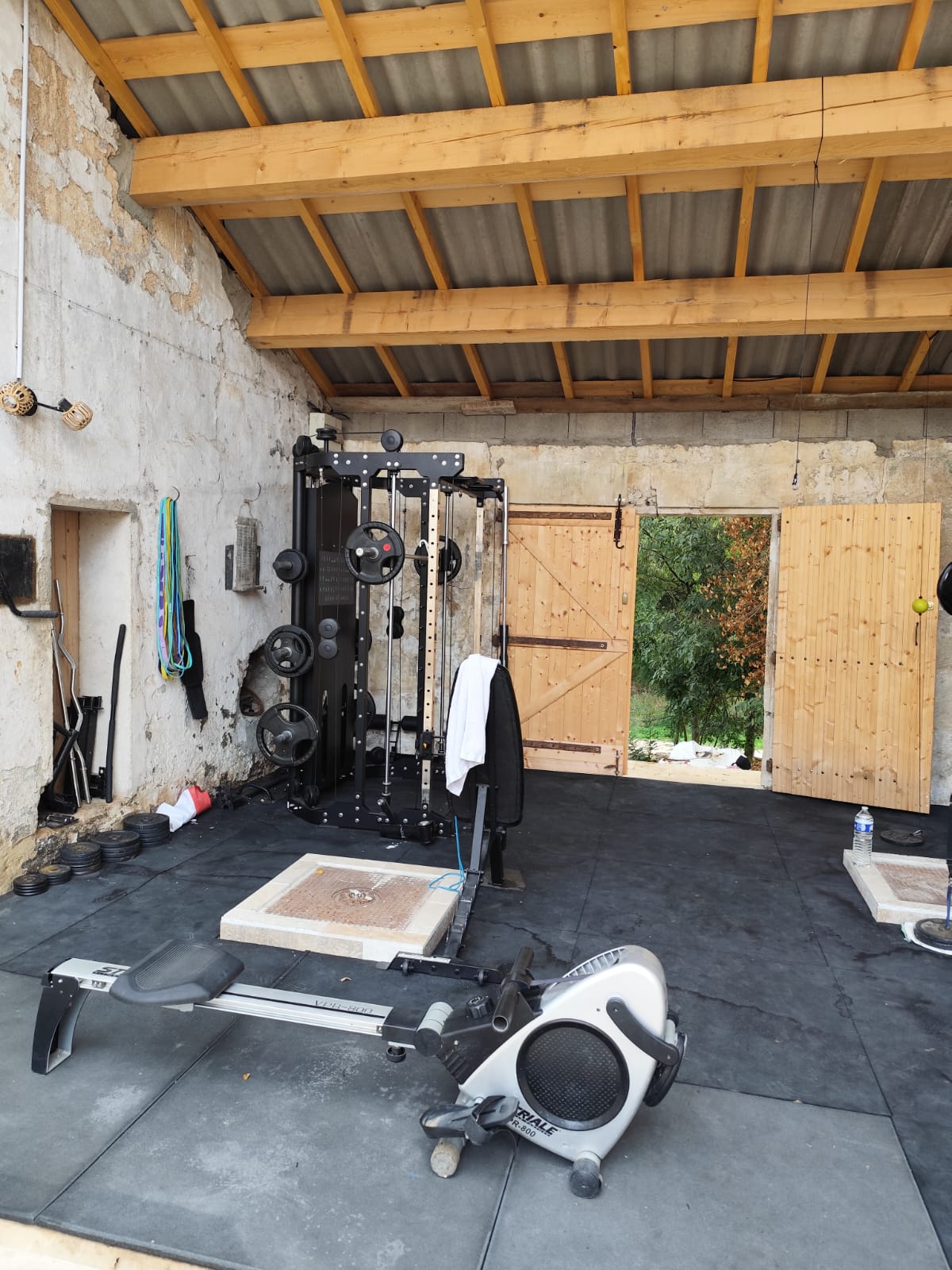 Kolokasie Saint-Gilles 621392