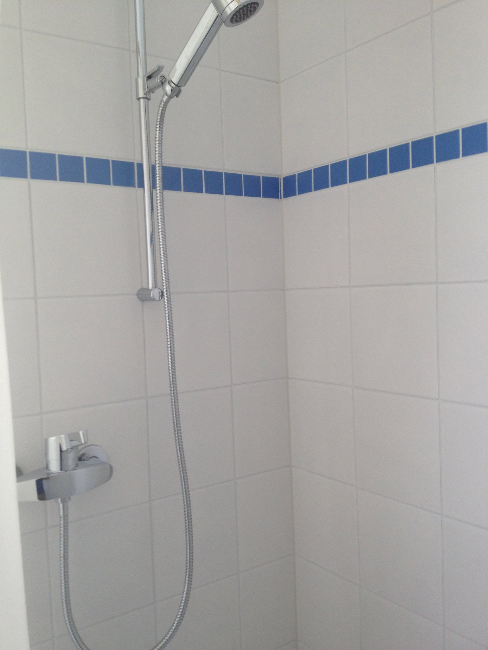 Kolokasie Echandens 105003