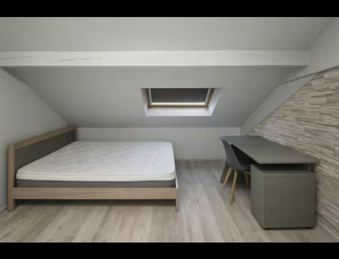 Kolokasie Mulhouse 548007