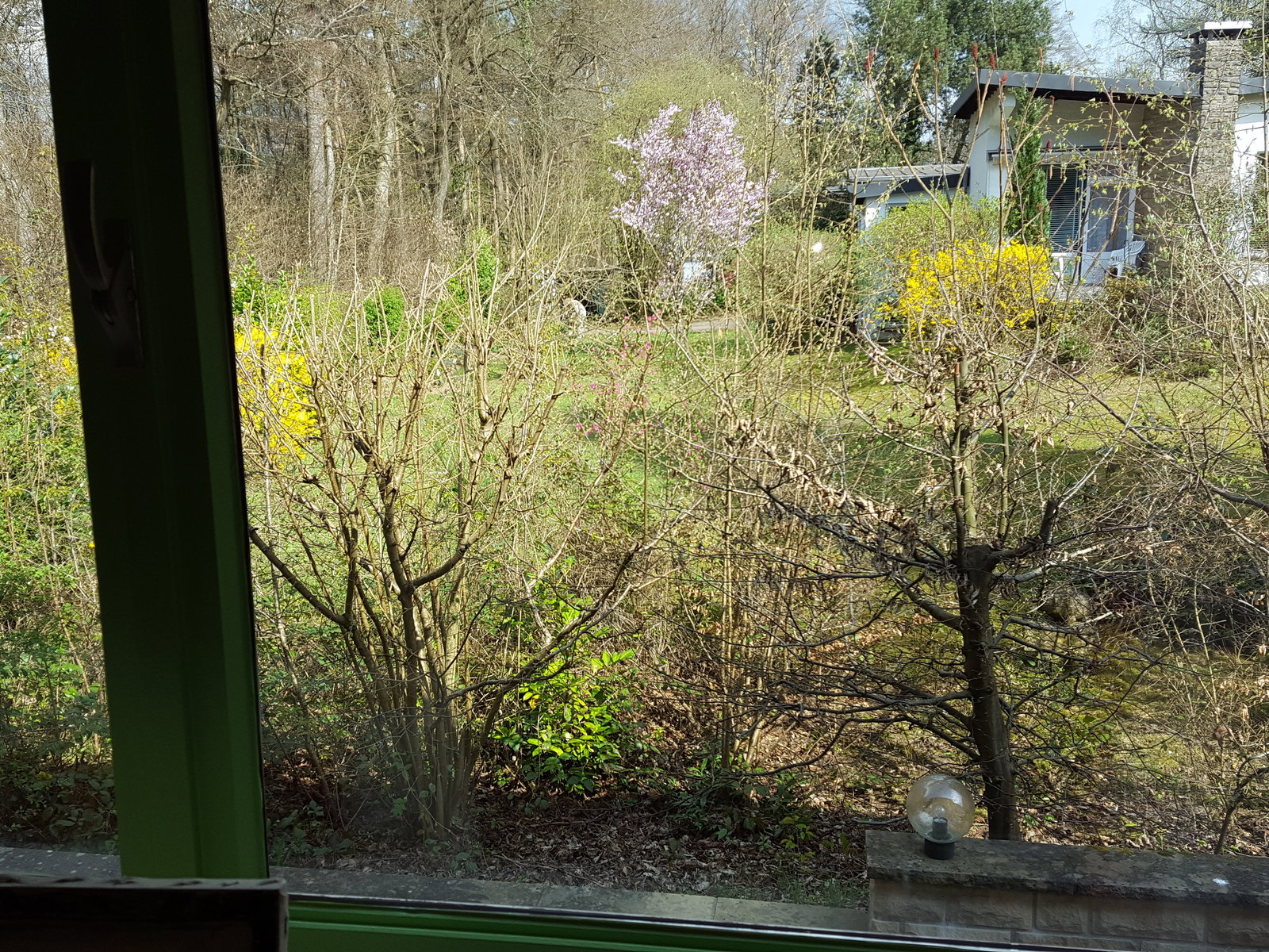 Tuisverblyf Bridel 100271