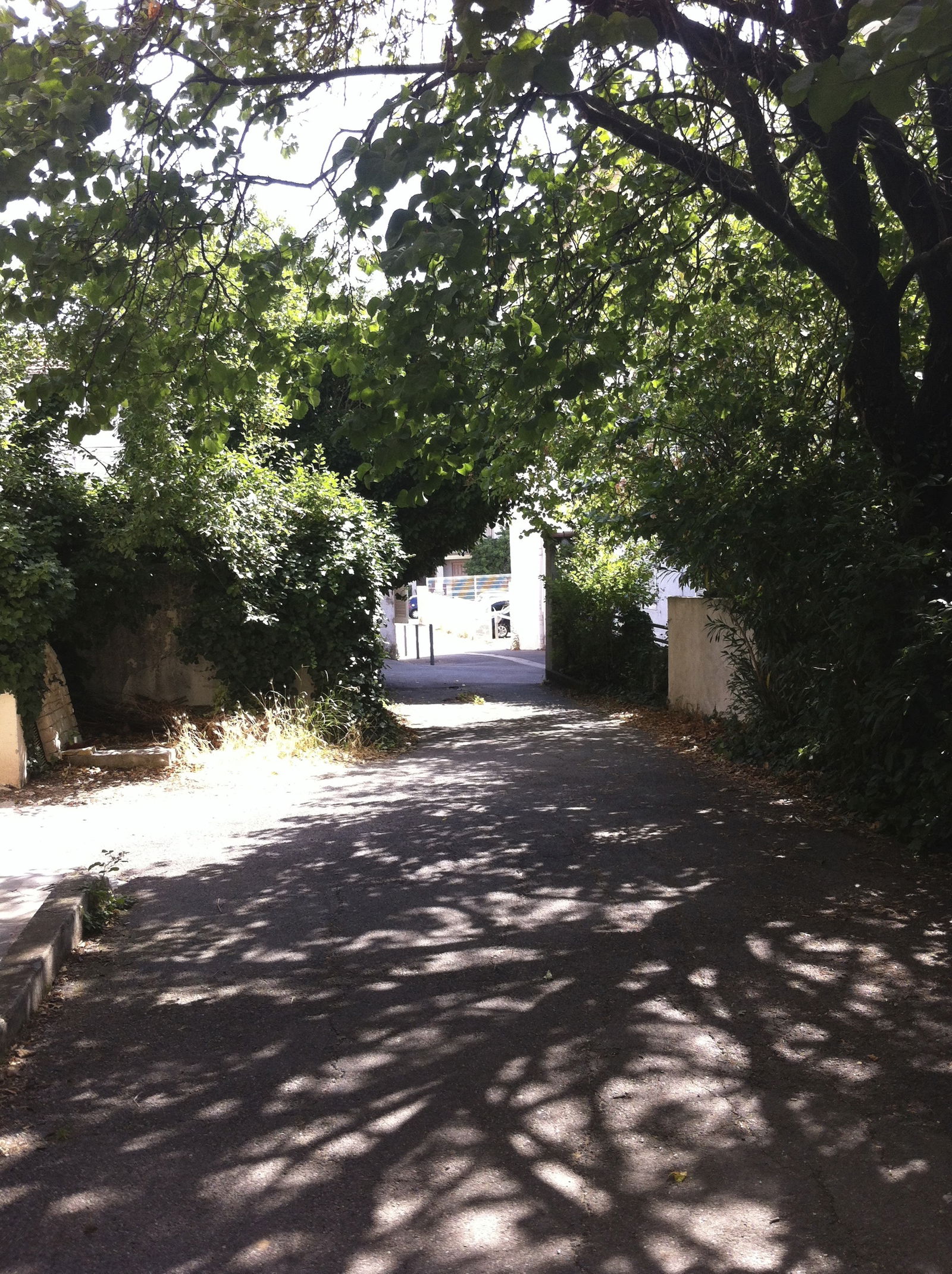 Gastekamers Aix-en-Provence 53446