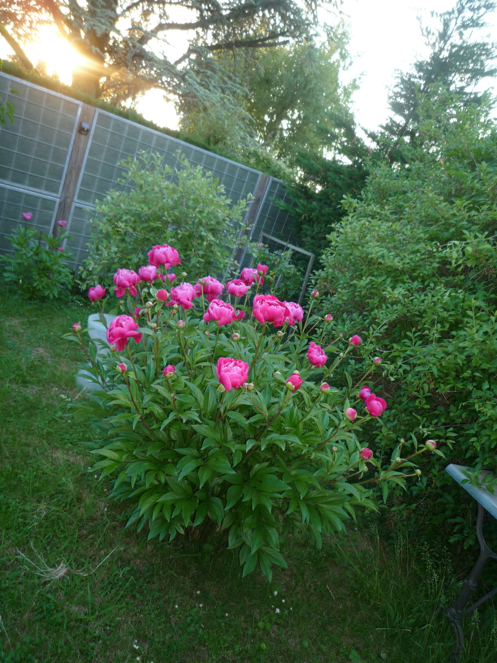 Tuisverblyf Retonfey 604831