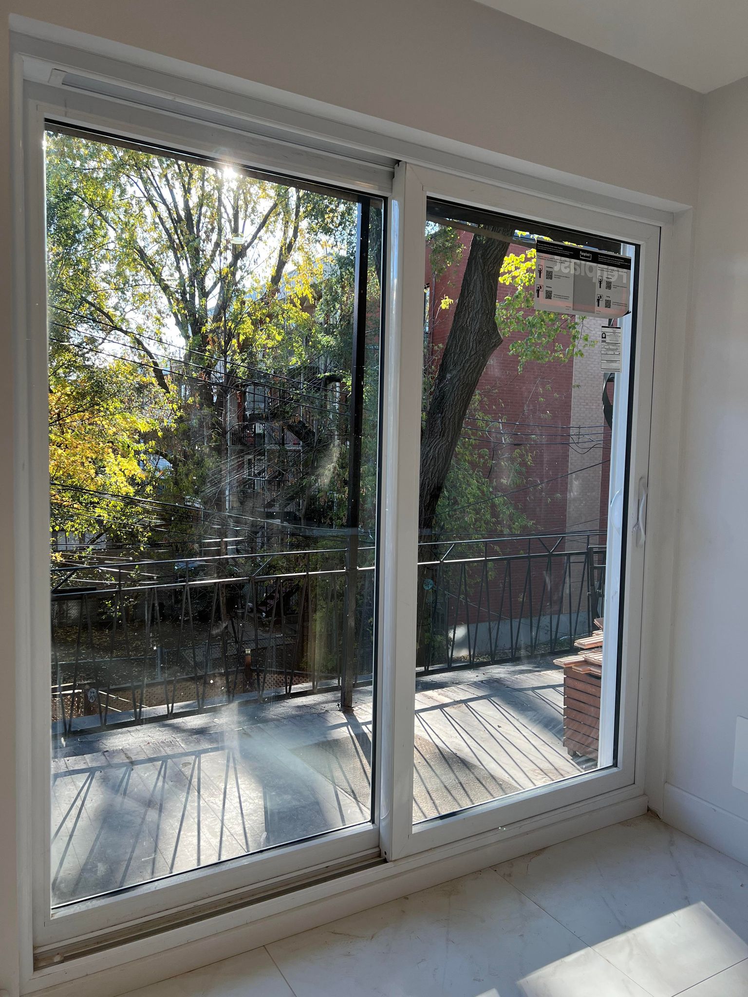 Kolokasie Montrã©Al 583457