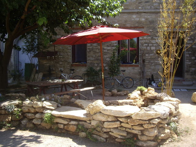 Kolokasie Fontanes 56551