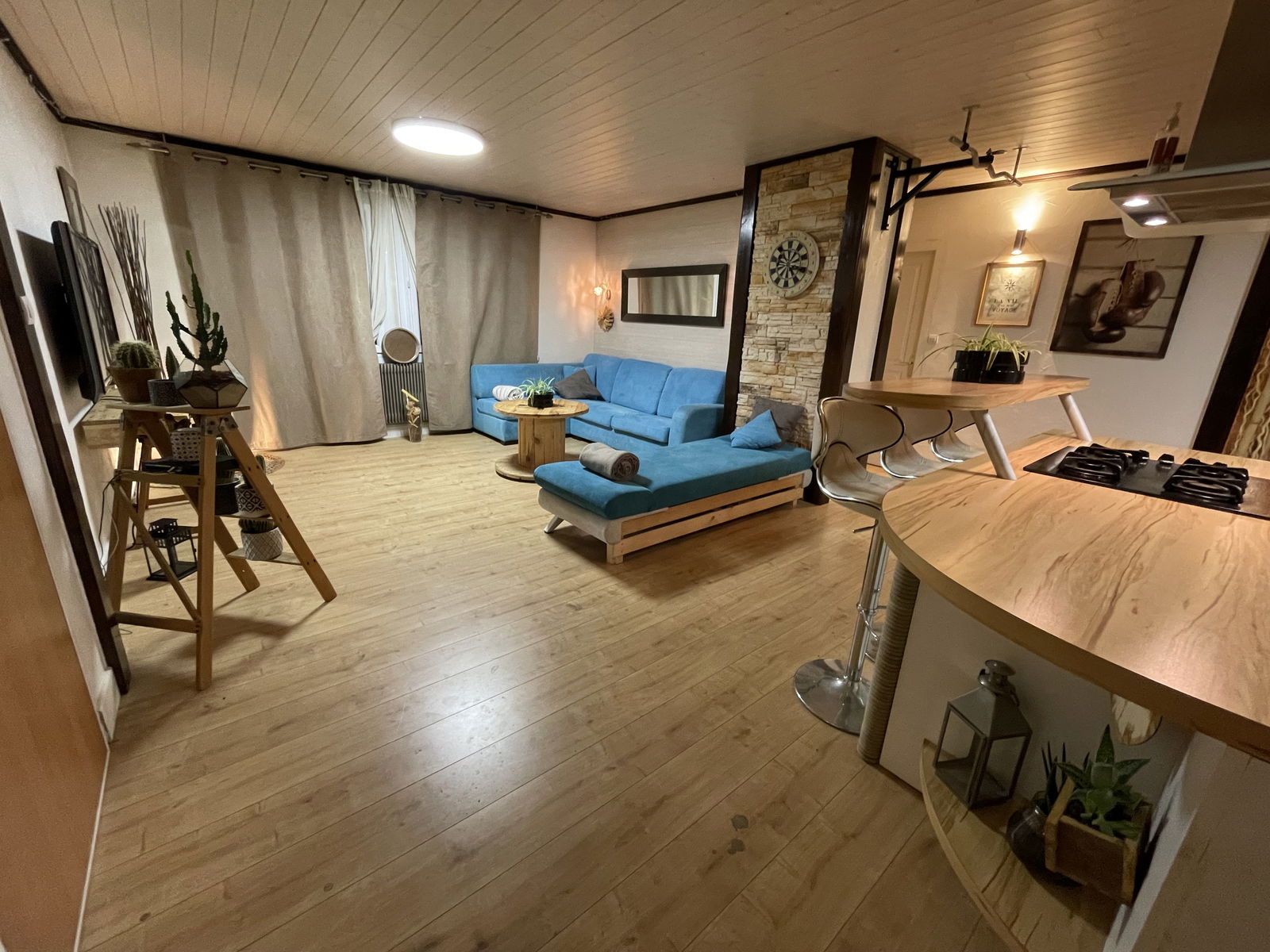 Kolokasie Annemasse 655503