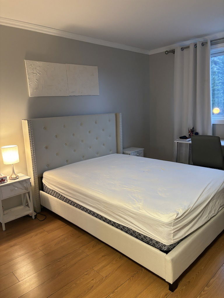 Kolokasie Gatineau 555578